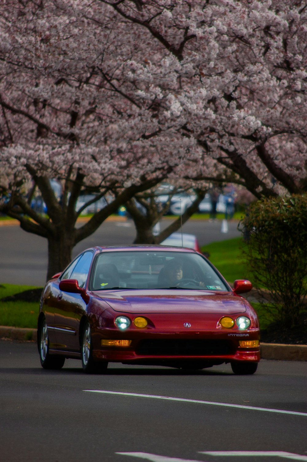 a red car driving down a street next to a blossoming tree