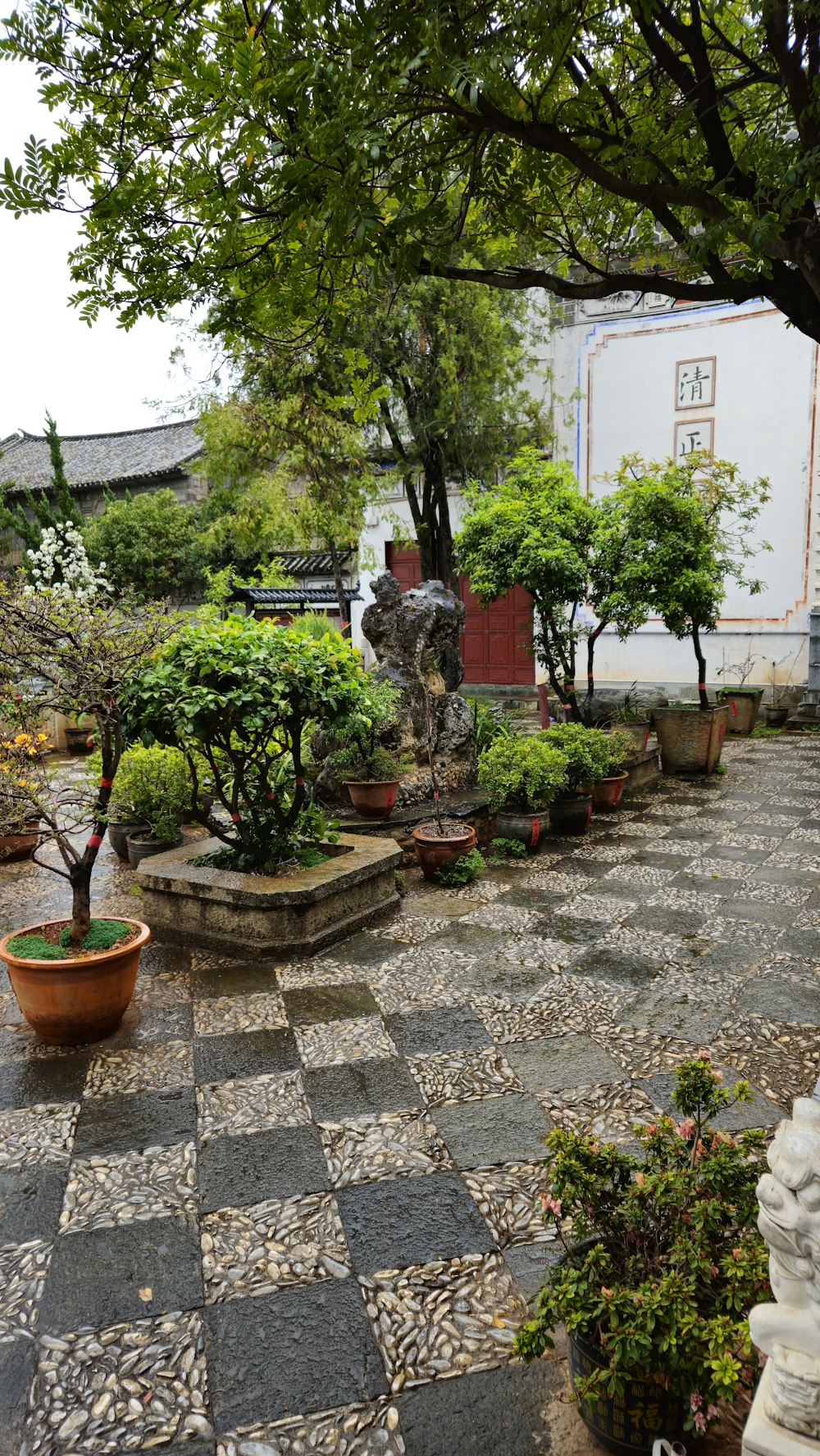 a garden with a checkered floor and trees