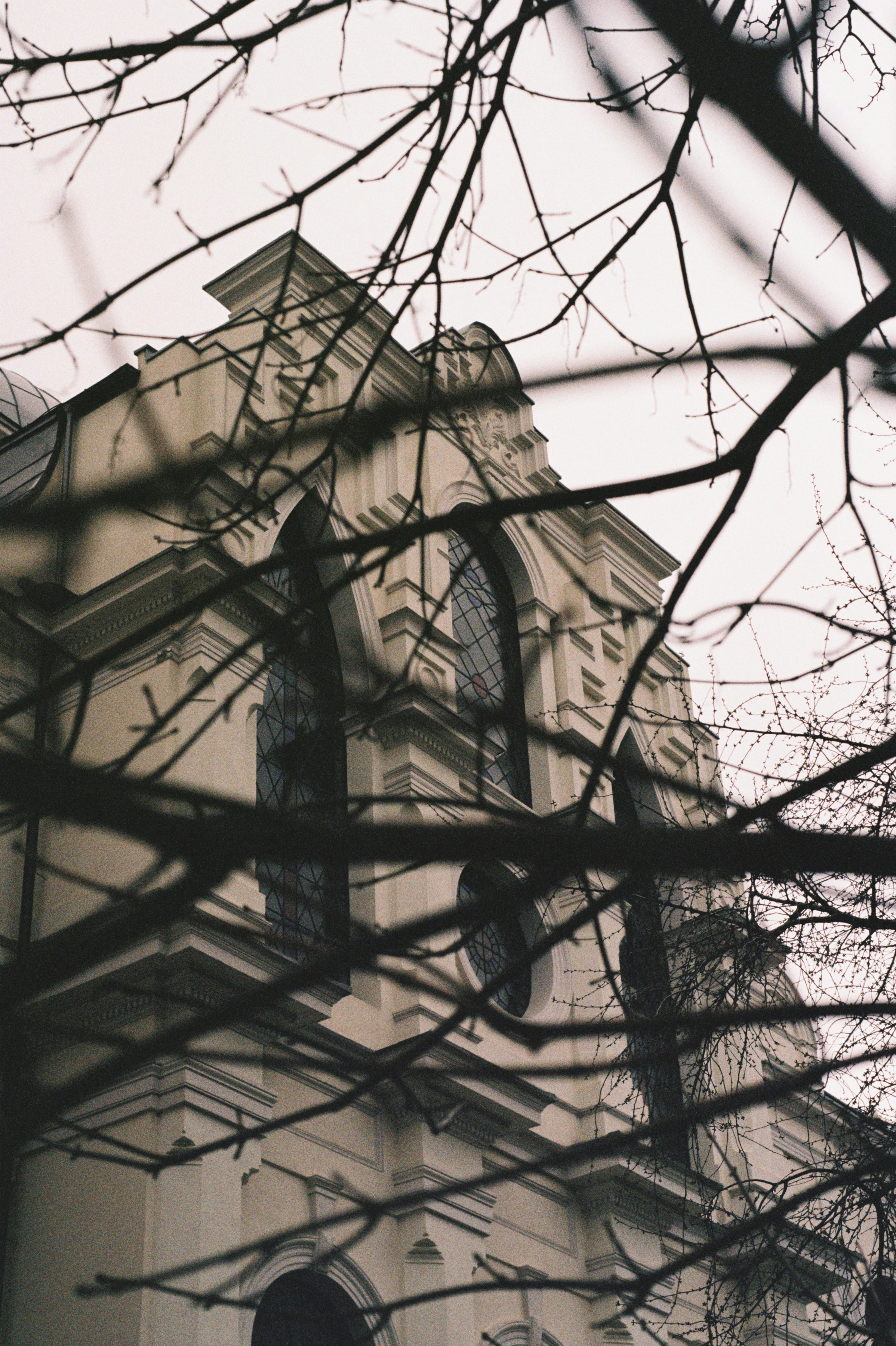 Photo by alexandru_stavrica