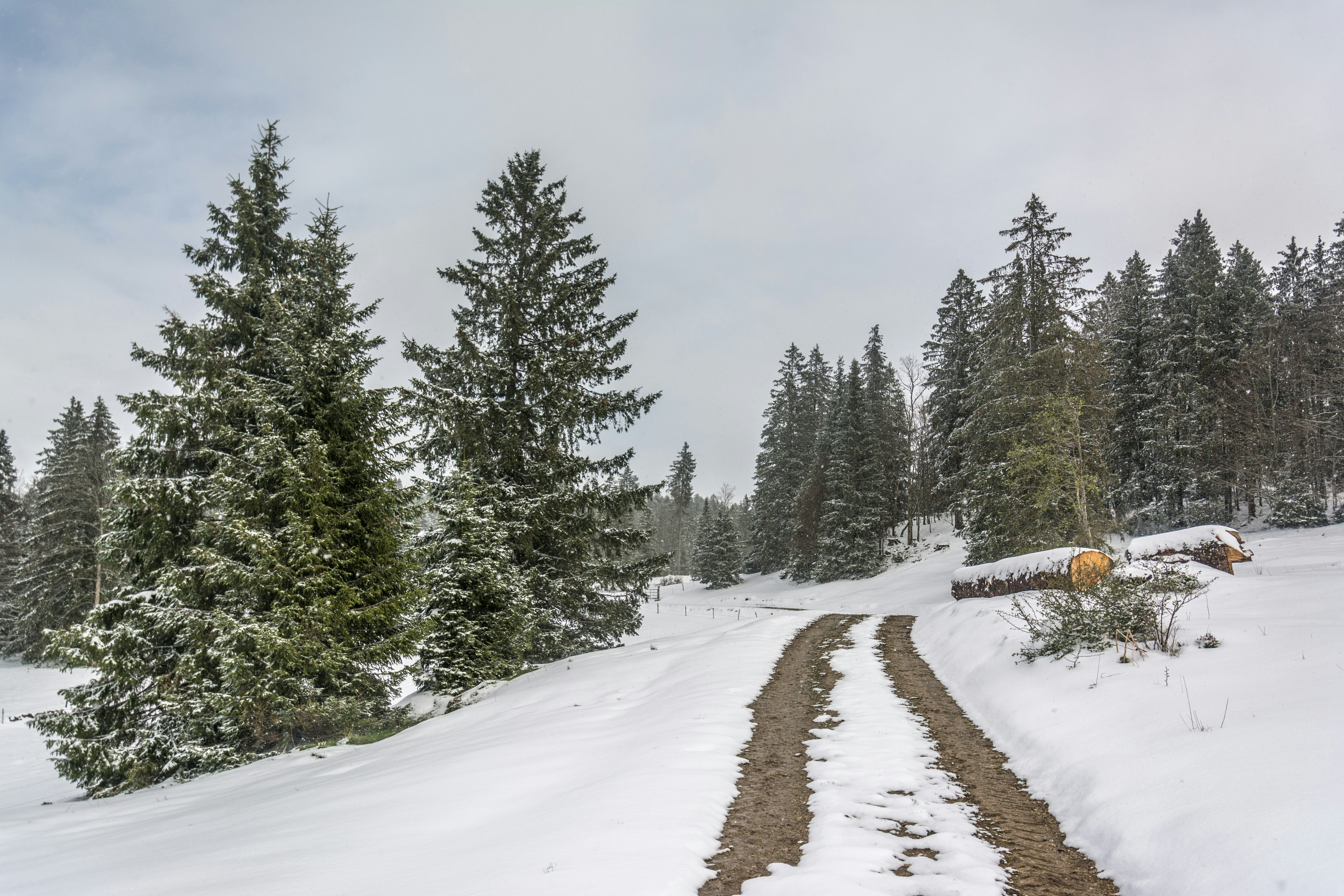 A snow covered path in the middle of a forest photo – Free Val-de ...