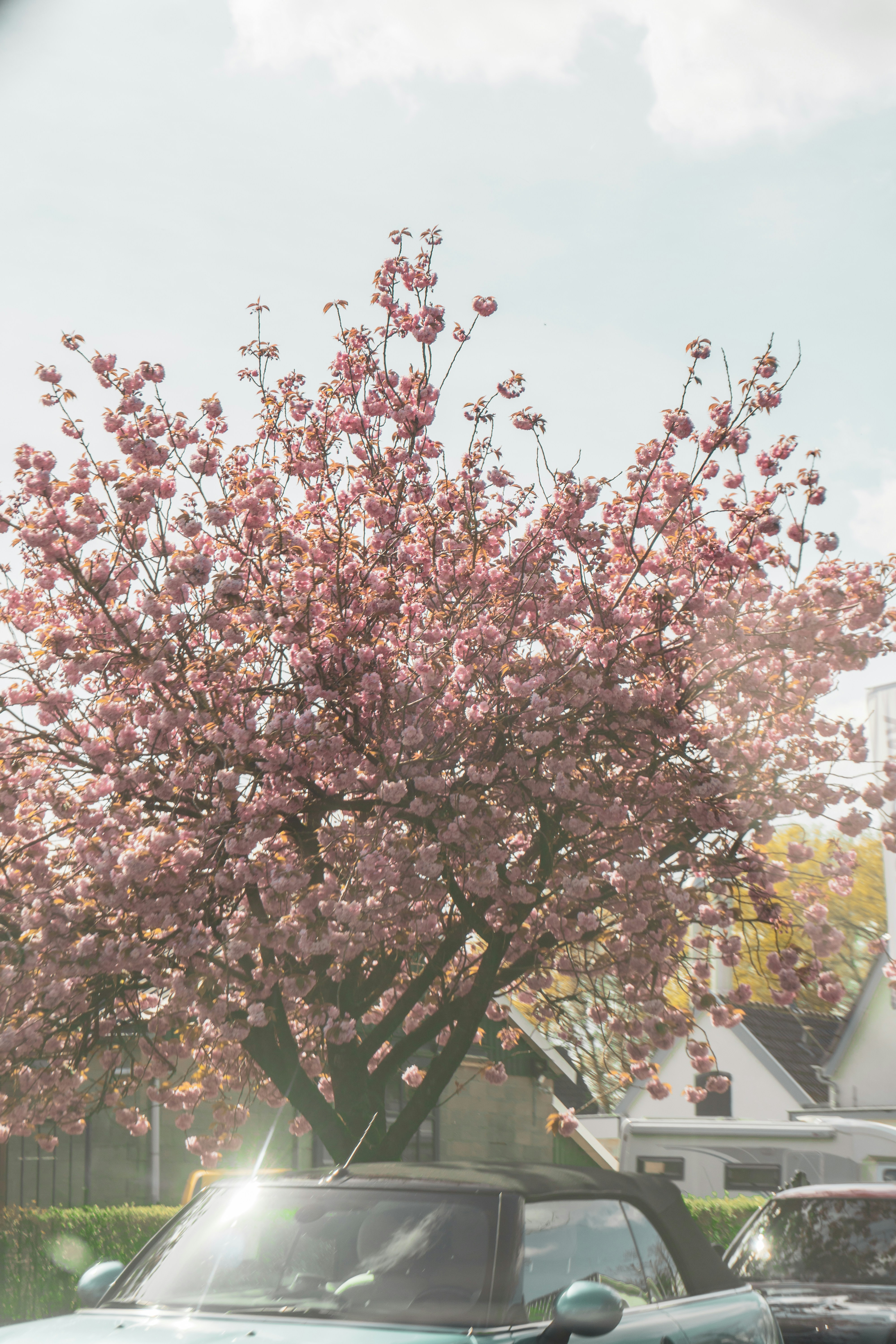 Photo by samtekiefte