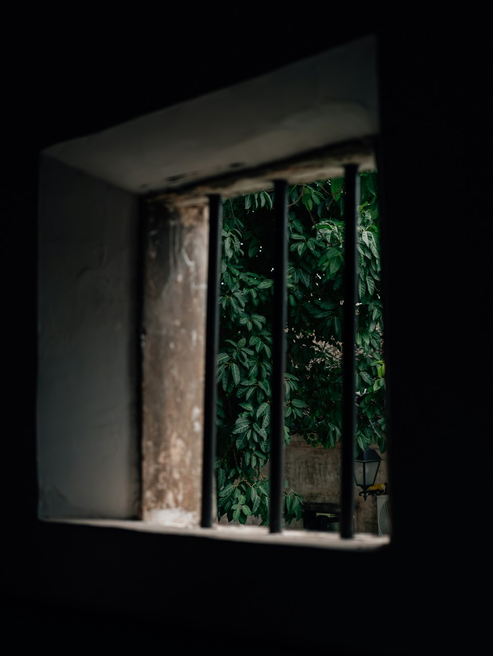 a window with bars and a potted plant behind it