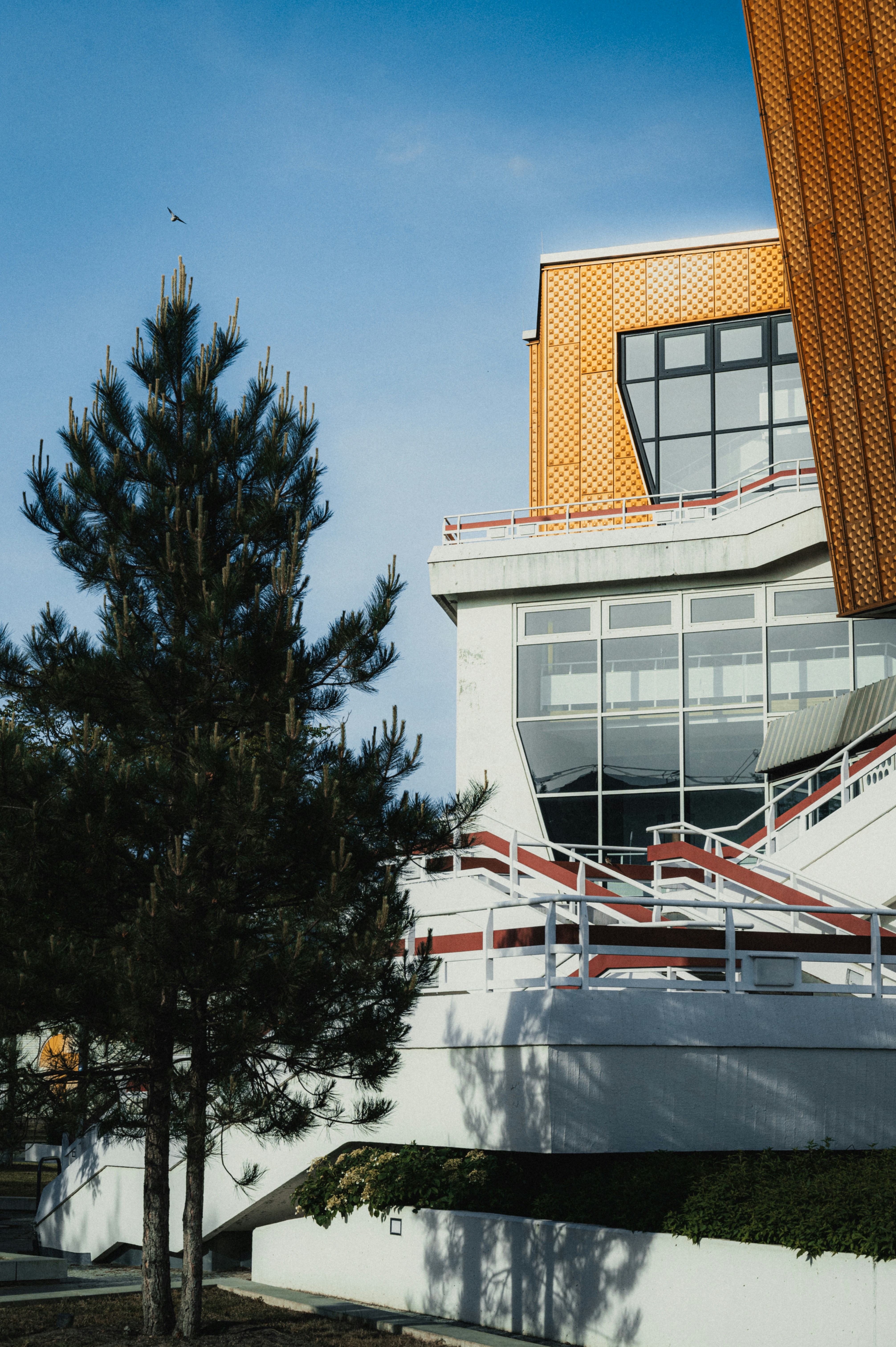 Photo by luca_severin