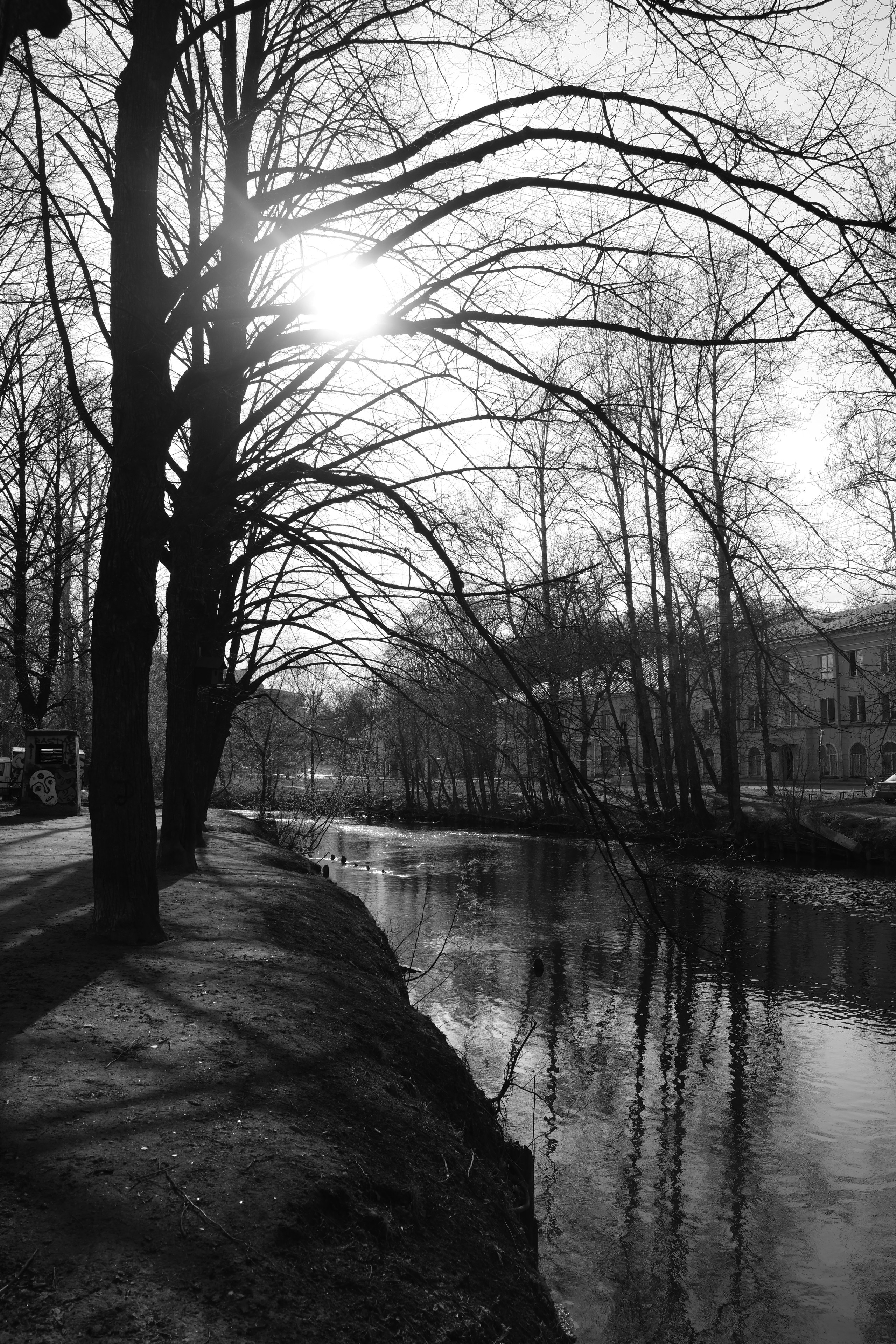 Photo by marinaysol