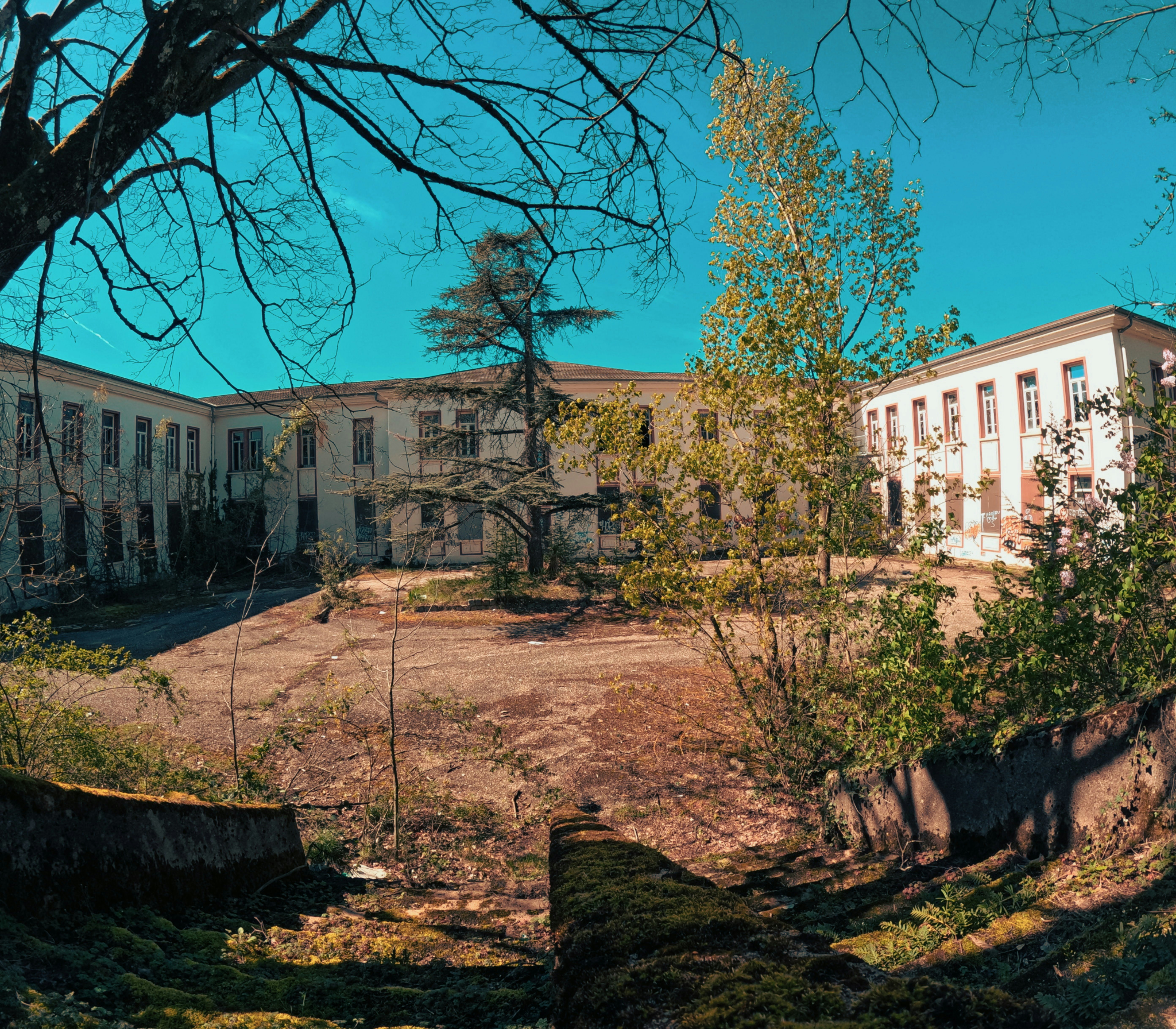 a large building with a lot of trees in front of it