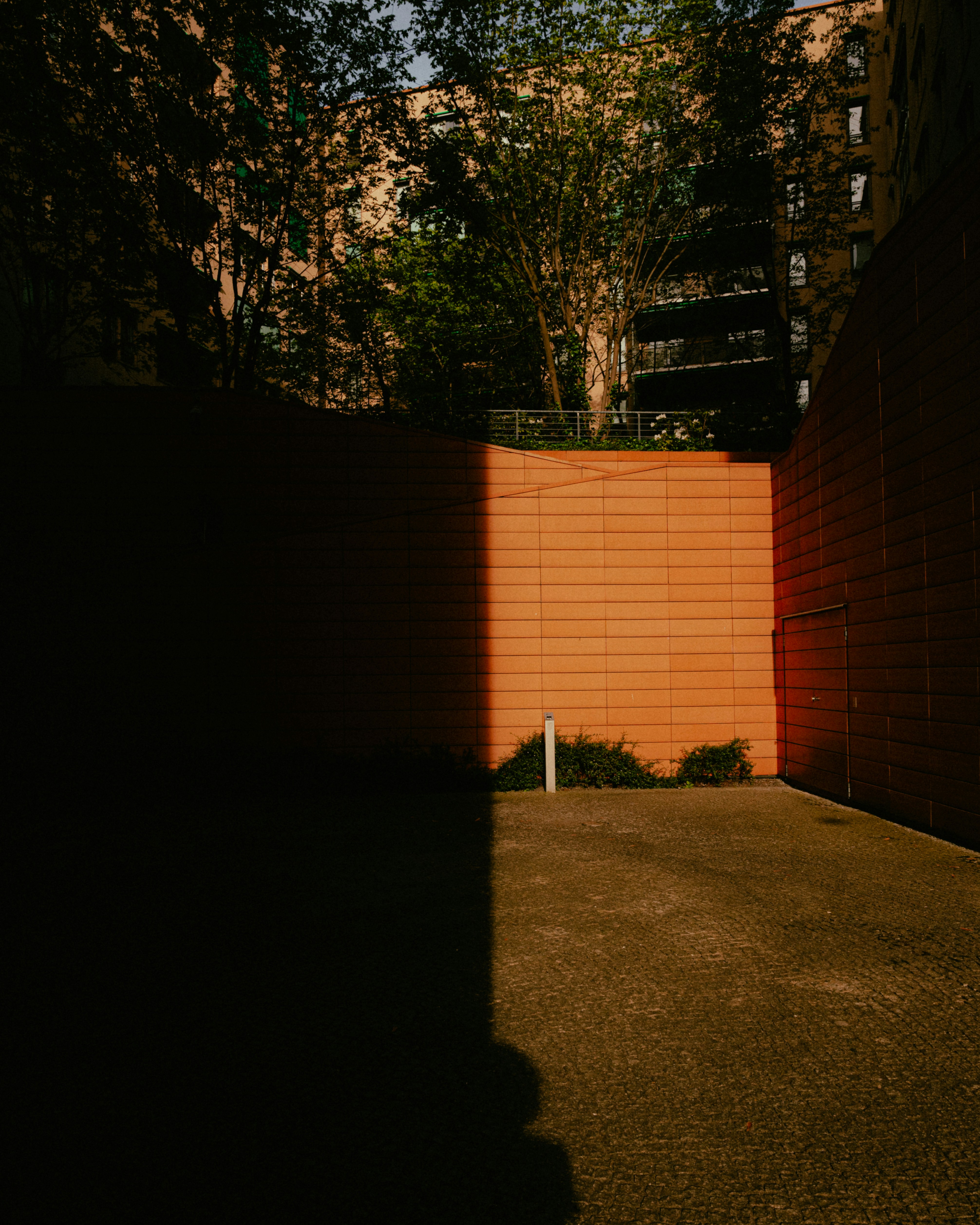 Photo by luca_severin