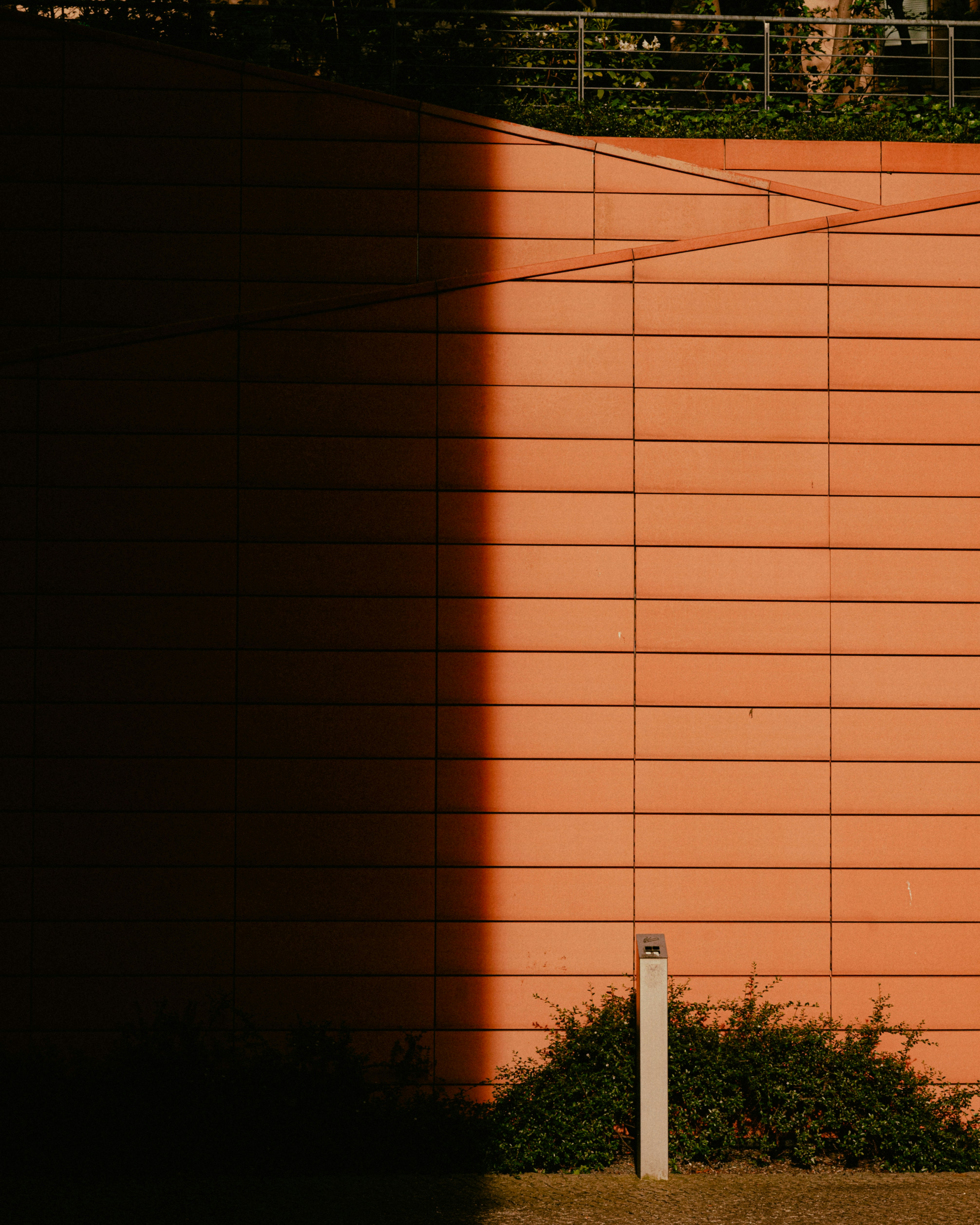 Photo by luca_severin