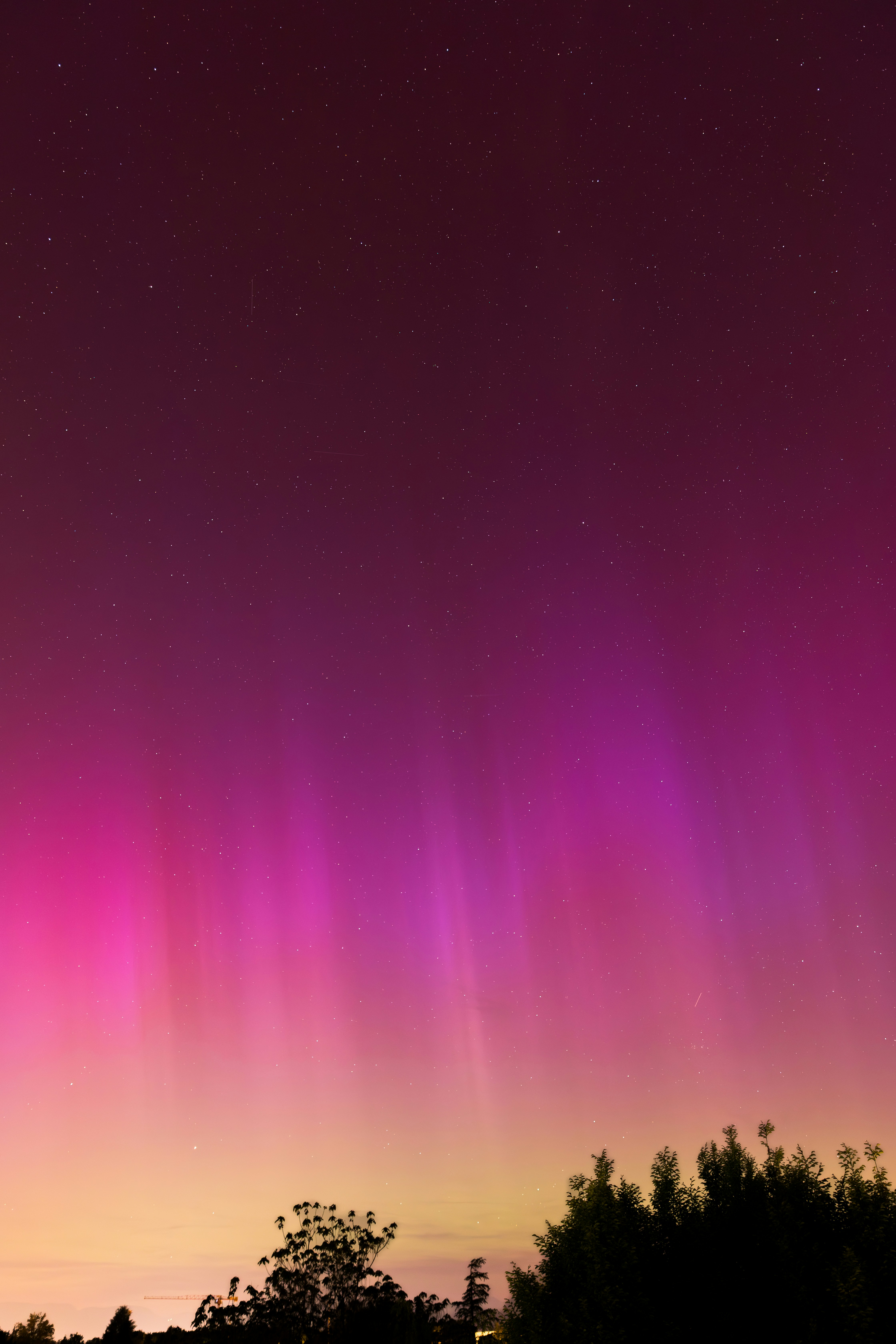 a bright purple and pink sky with trees in the foreground