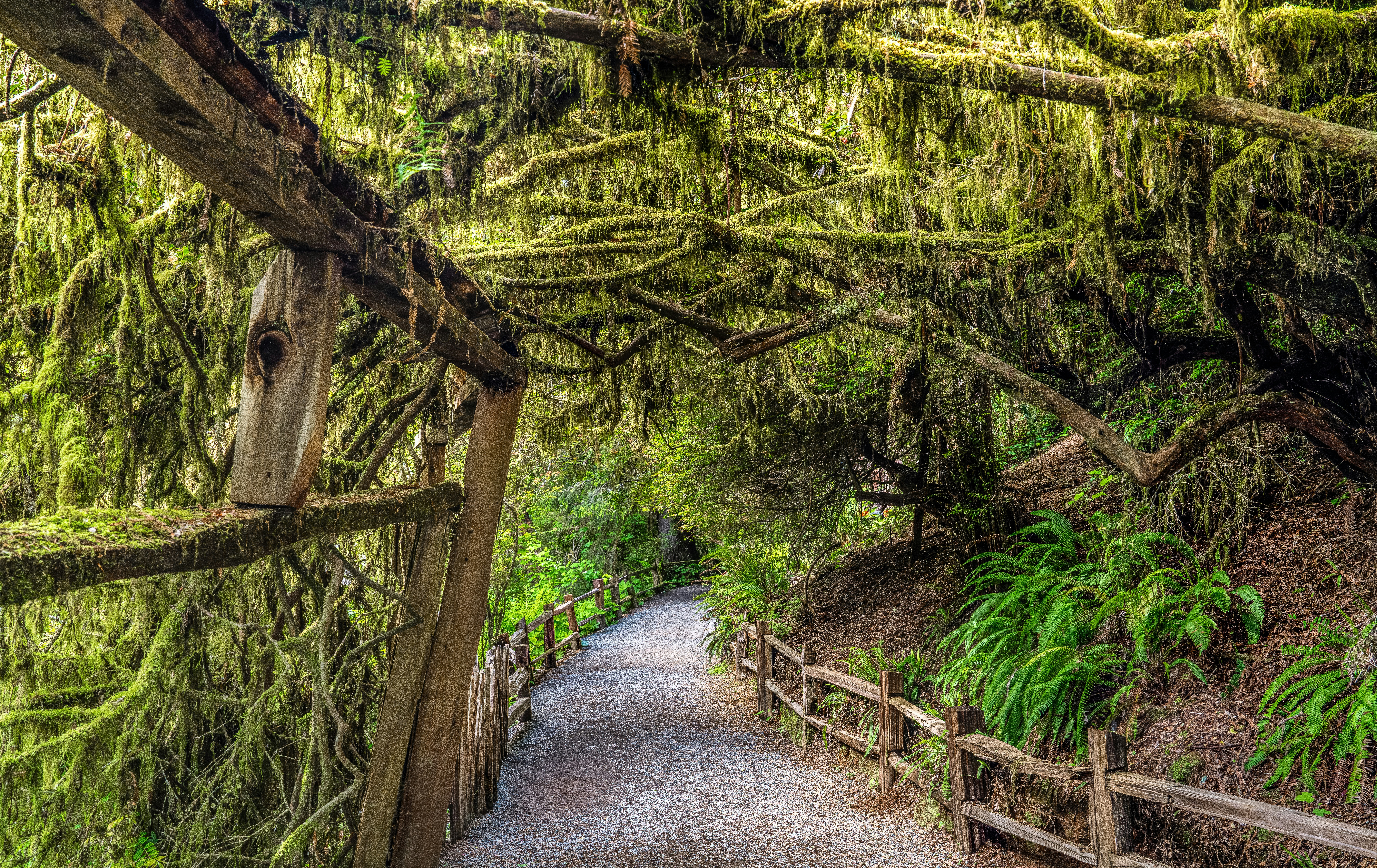 Photo by happy_pixel