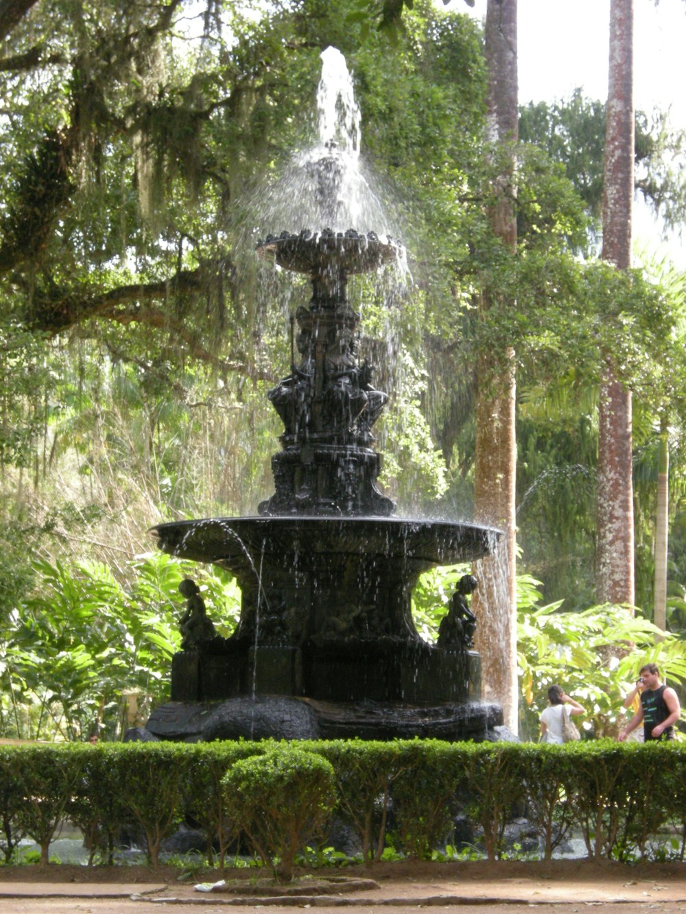 a water fountain surrounded by lush green trees