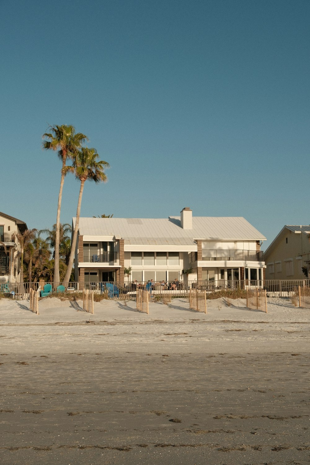 a house on the beach with a palm tree in front of it