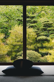 a view out a window of a lush green forest
