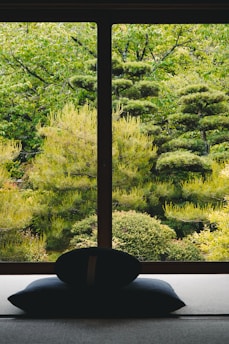 a view out a window of a lush green forest