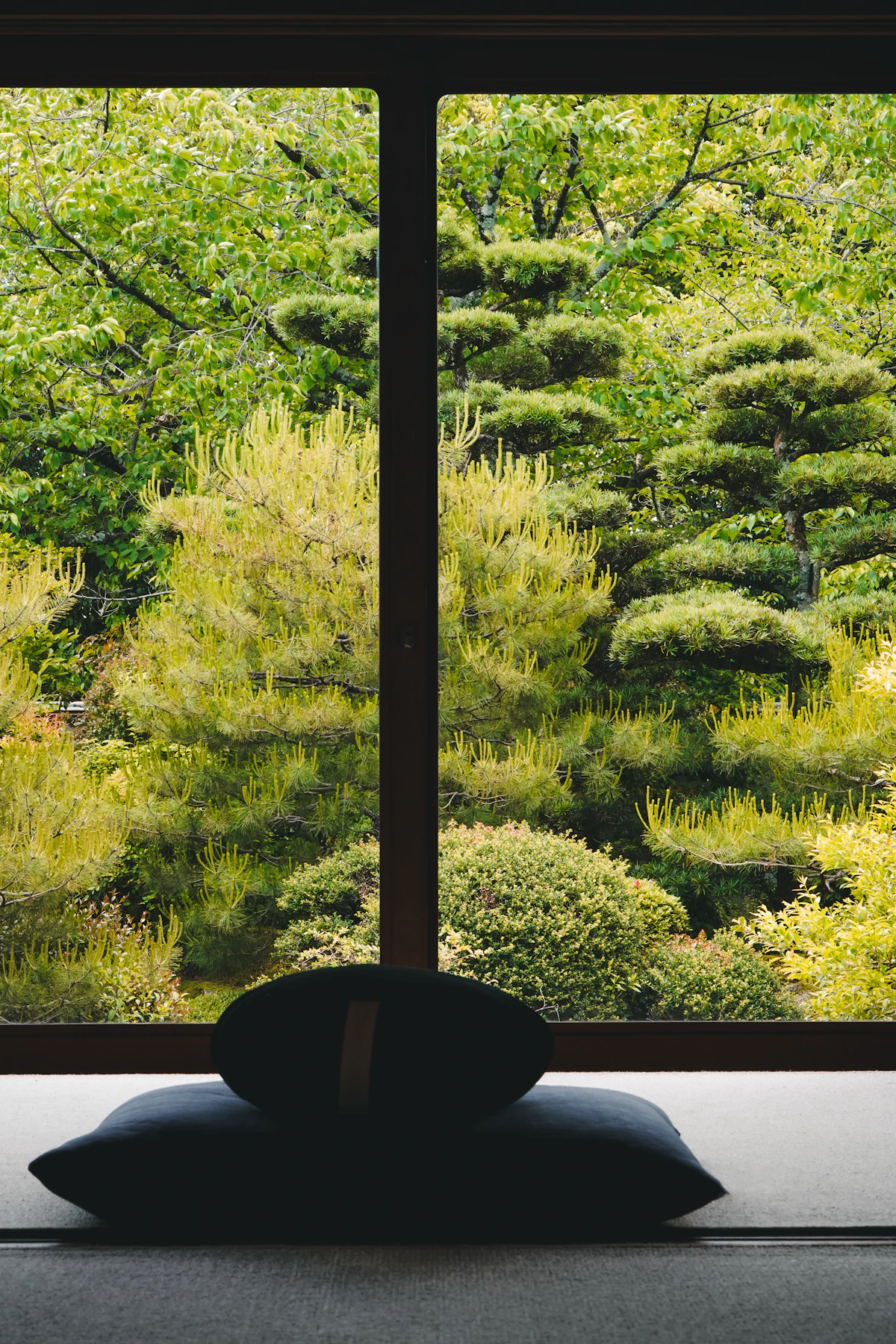 Forest through a window
