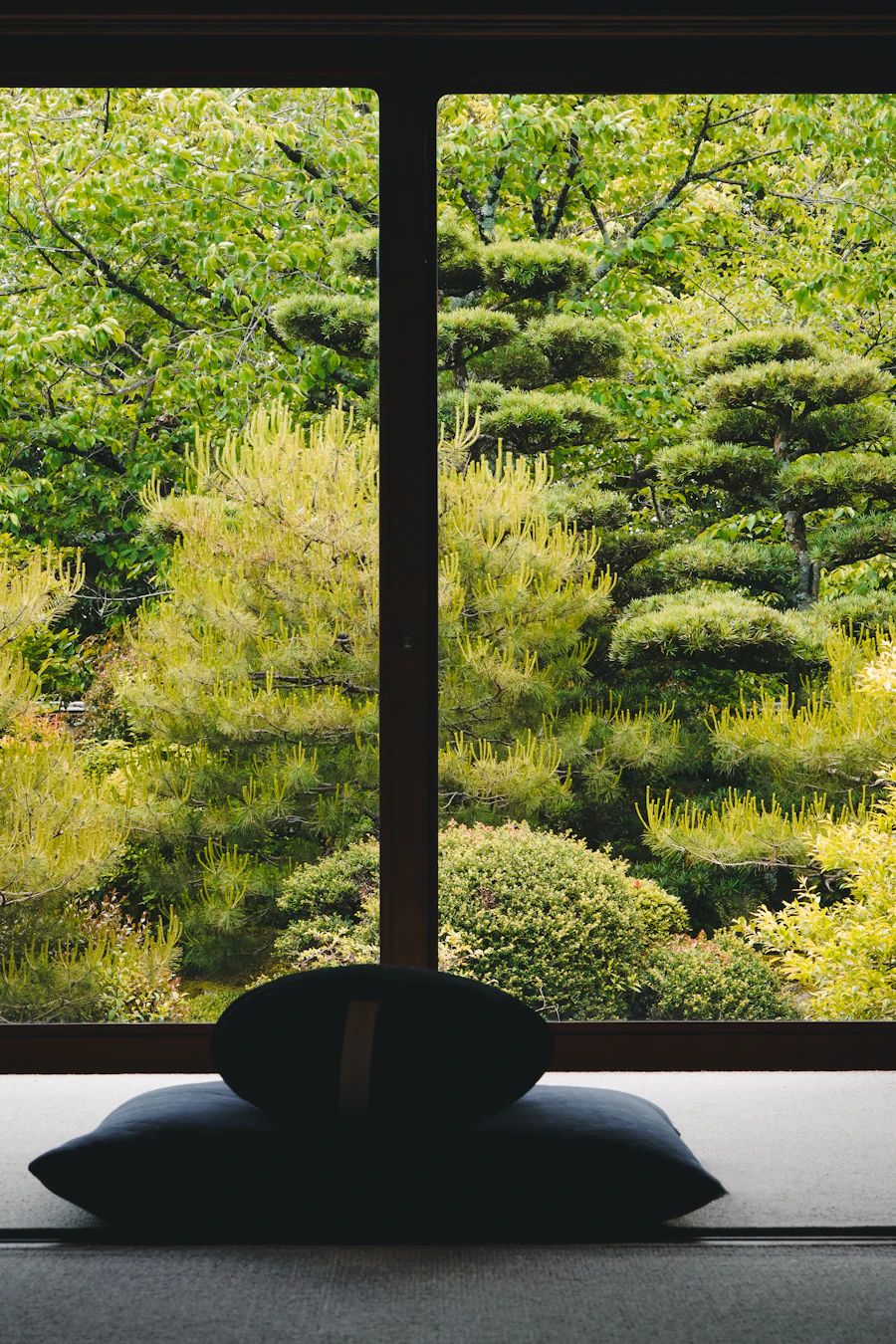 A view through a window onto a lush green forest