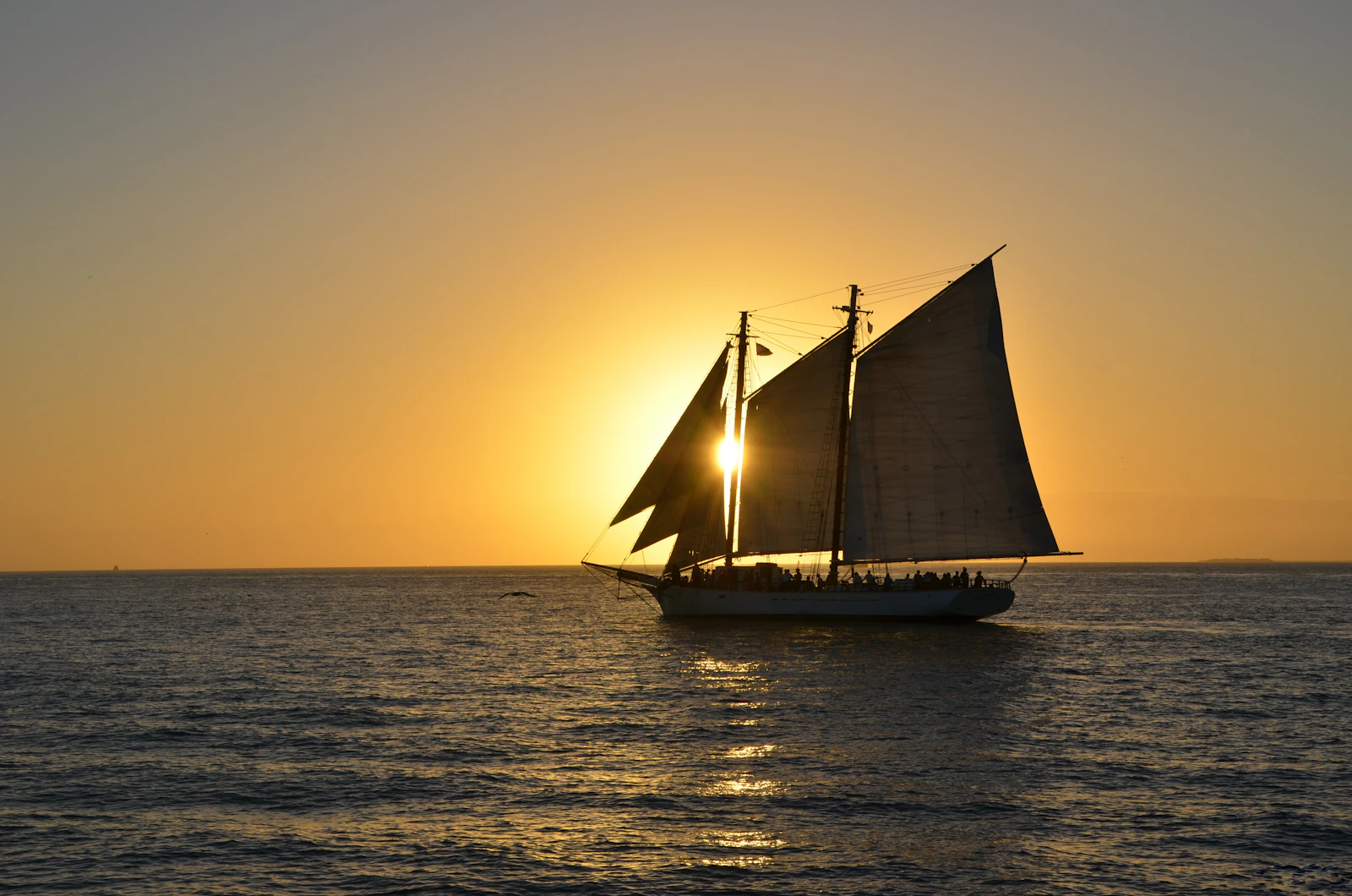 Buổi chiều sandbar ở Key West