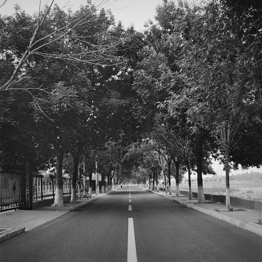 a black and white photo of a street lined with trees