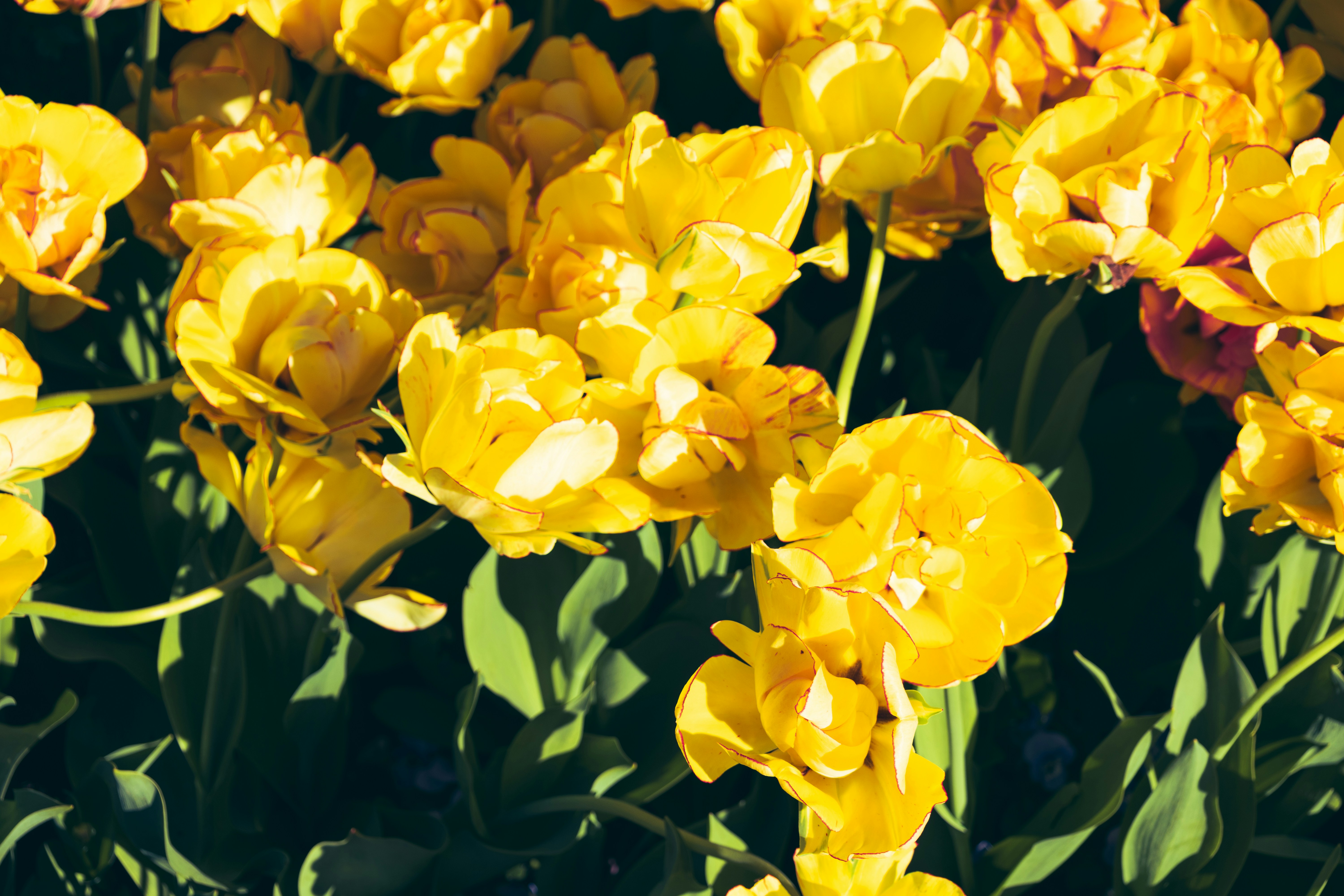 Photo by vincentyuan87