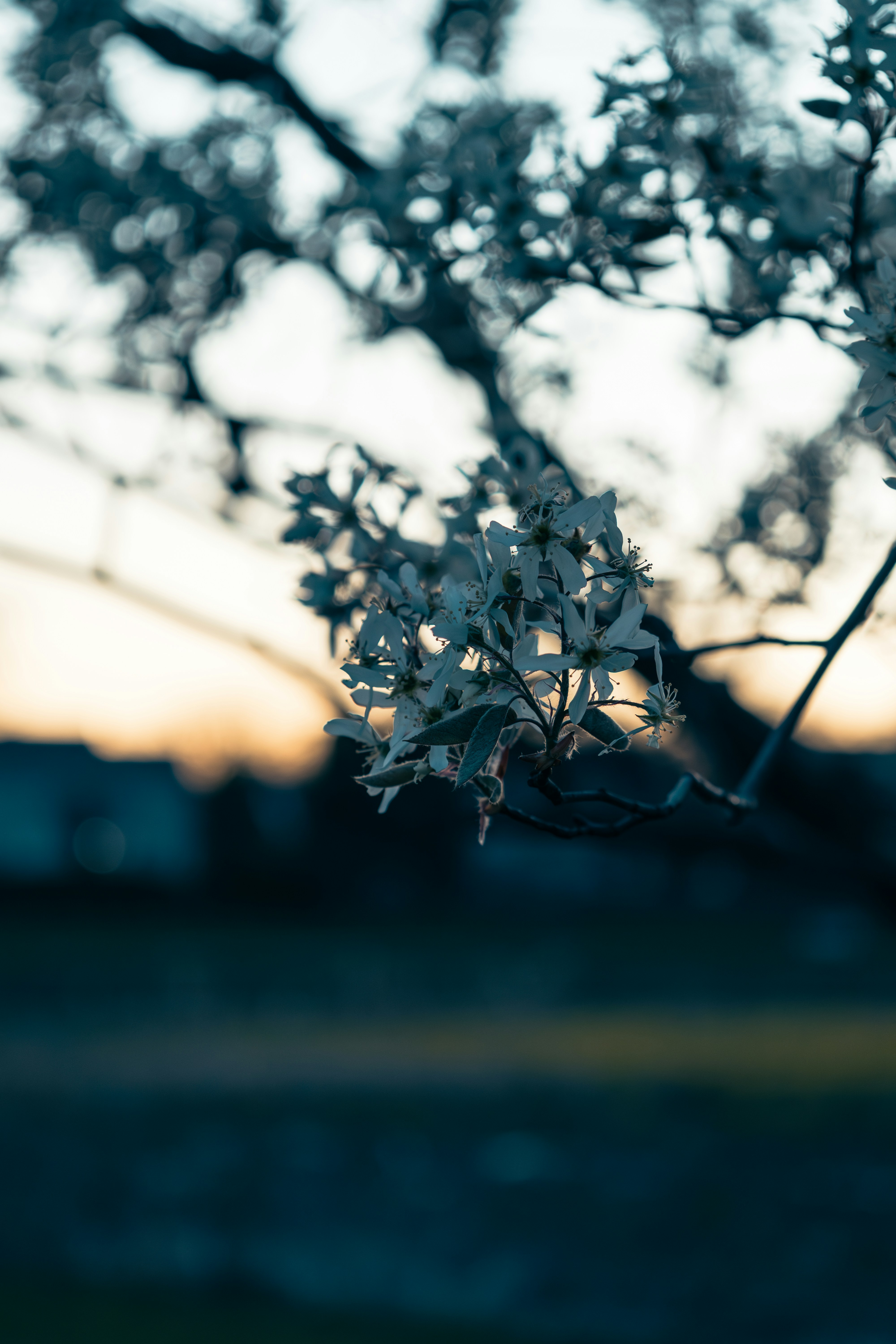 Photo by vincentyuan87