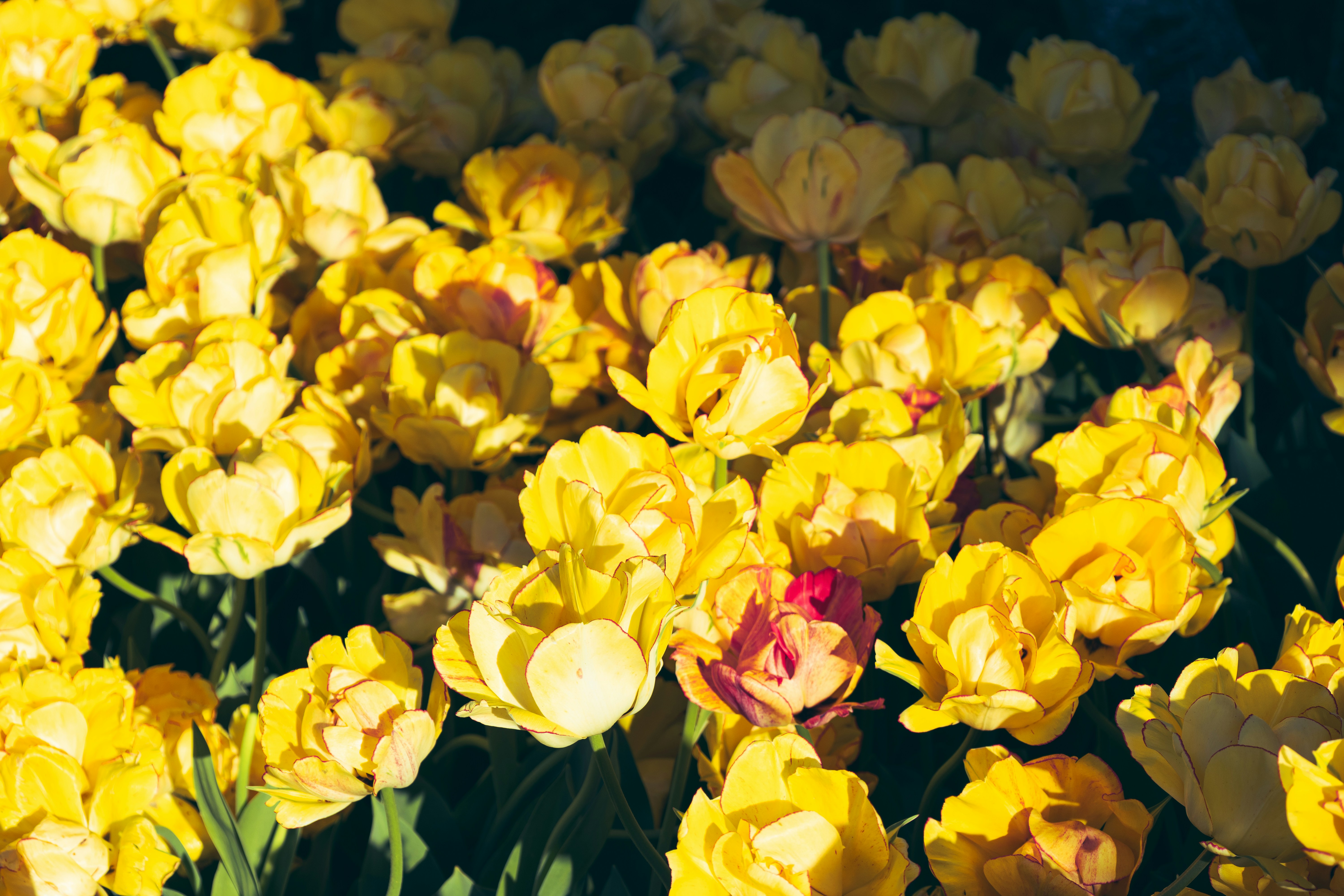 Photo by vincentyuan87