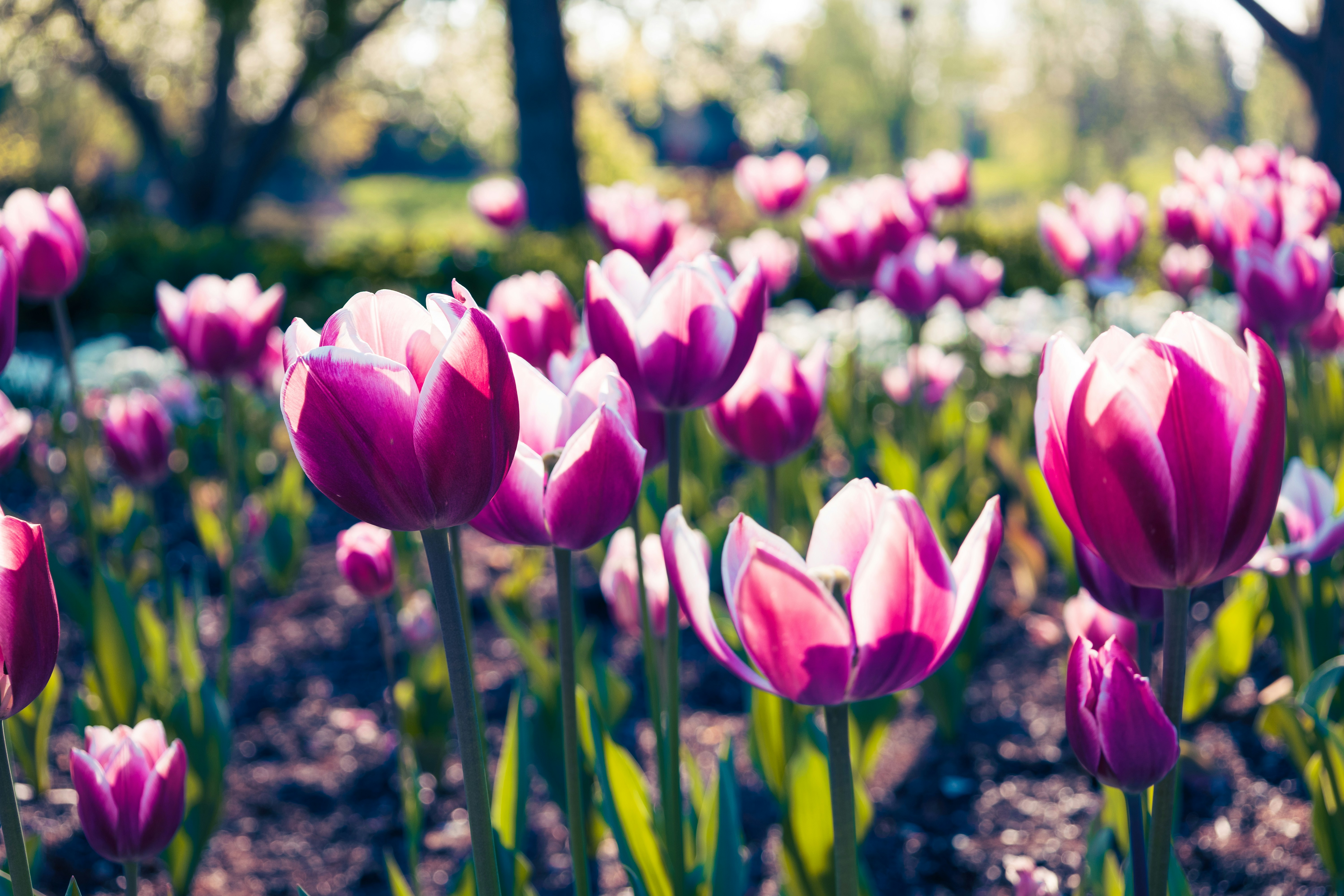 Photo by vincentyuan87