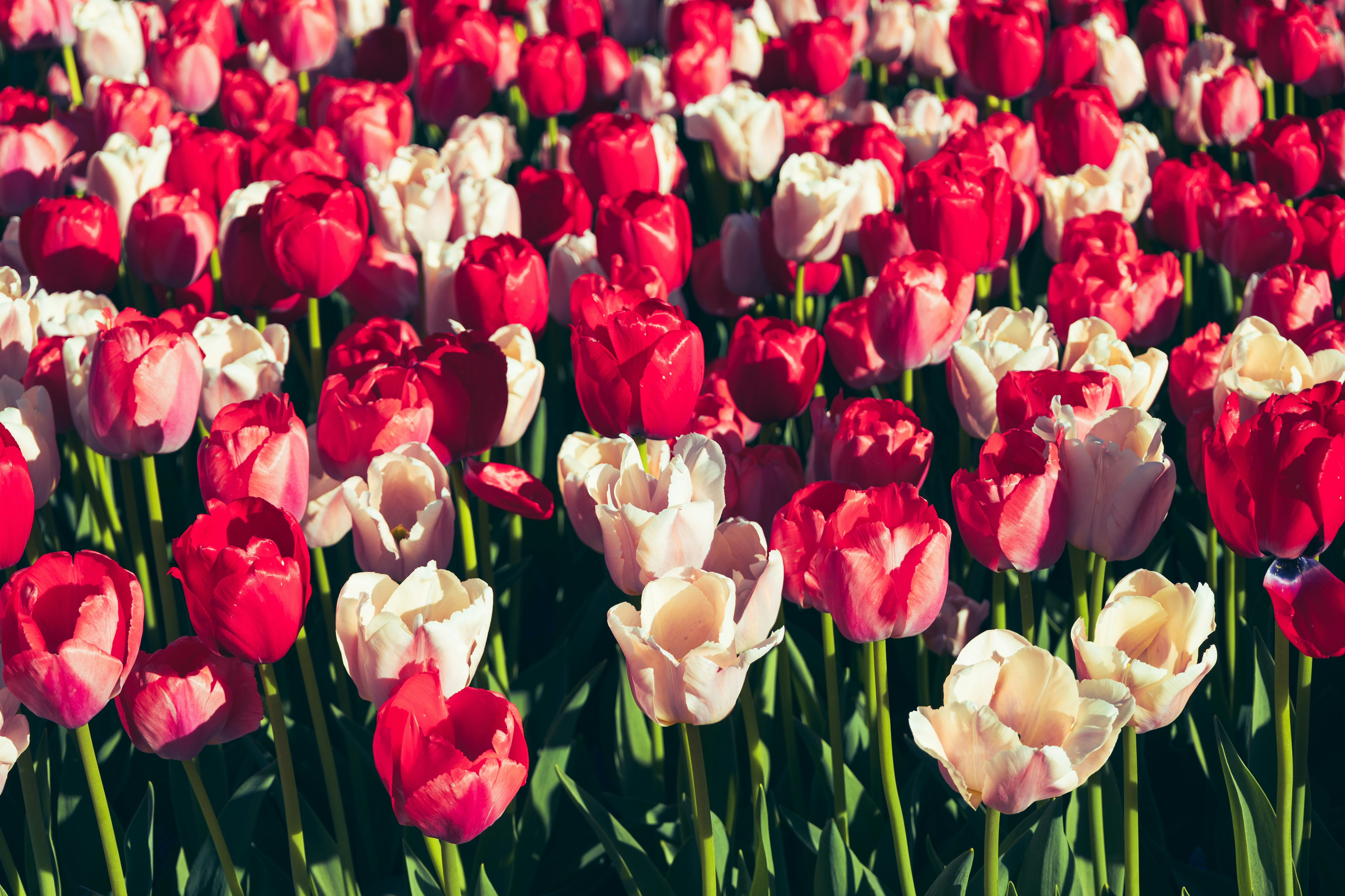 Photo by vincentyuan87