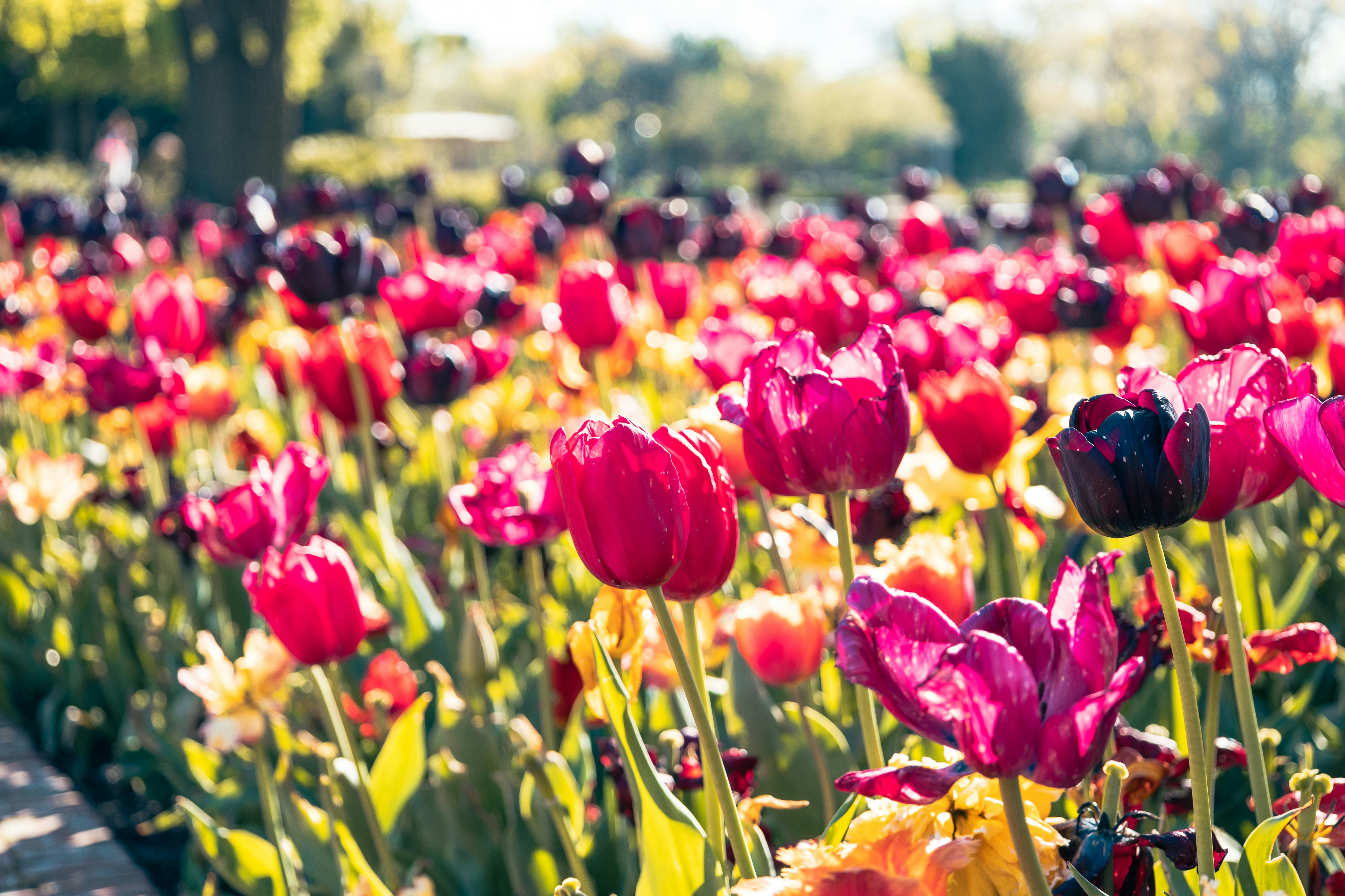 Photo by vincentyuan87