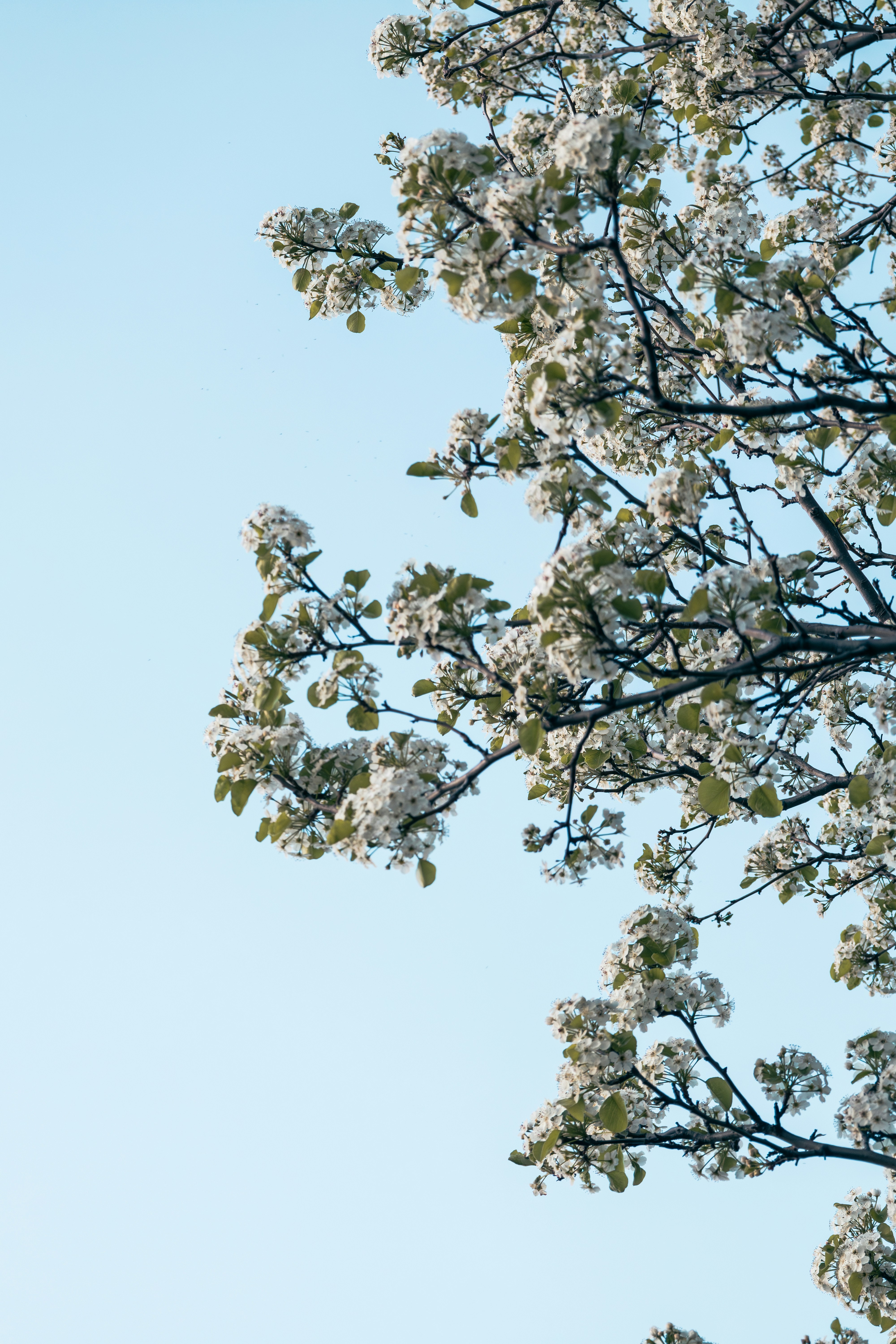 Photo by vincentyuan87