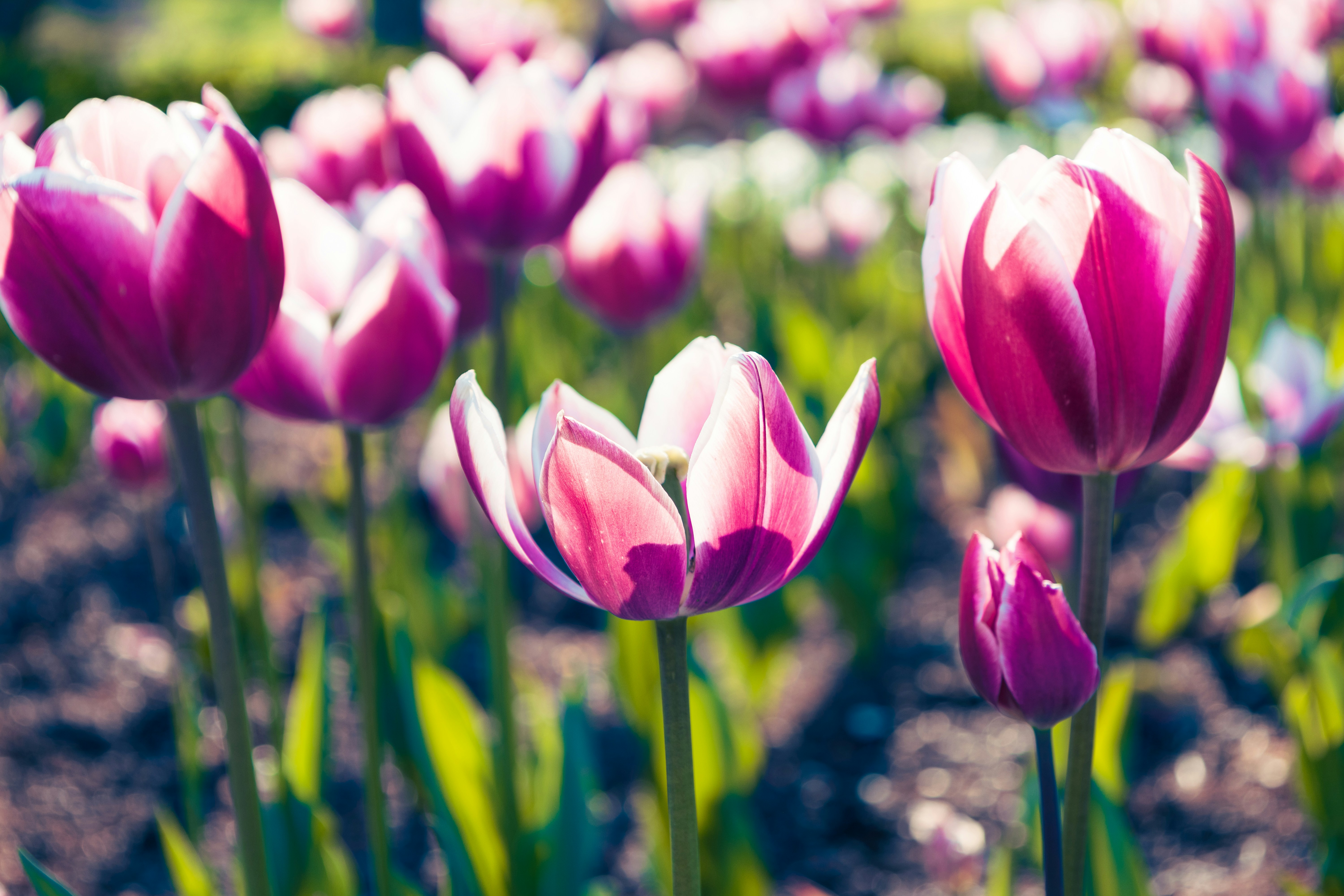 Photo by vincentyuan87