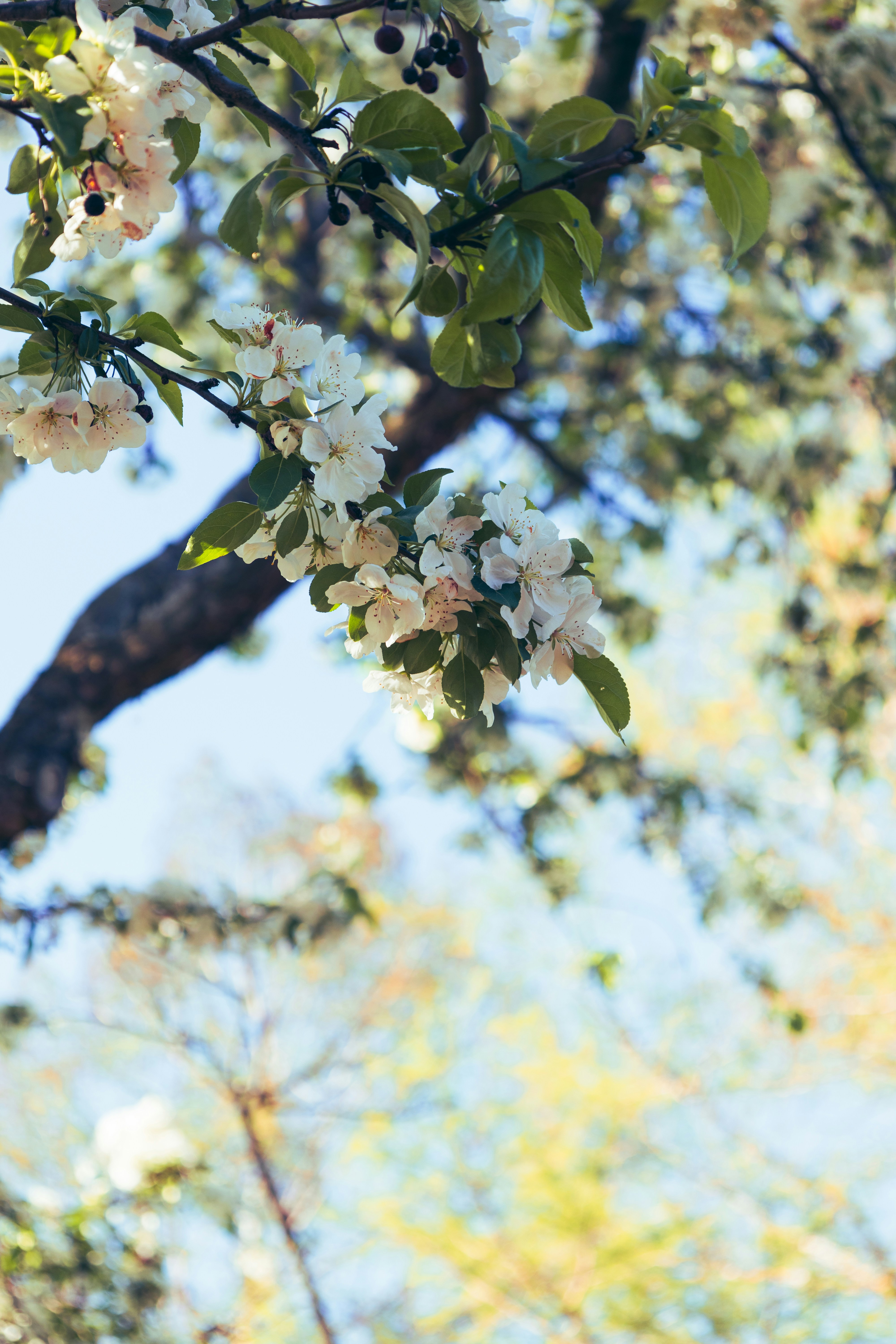 Photo by vincentyuan87