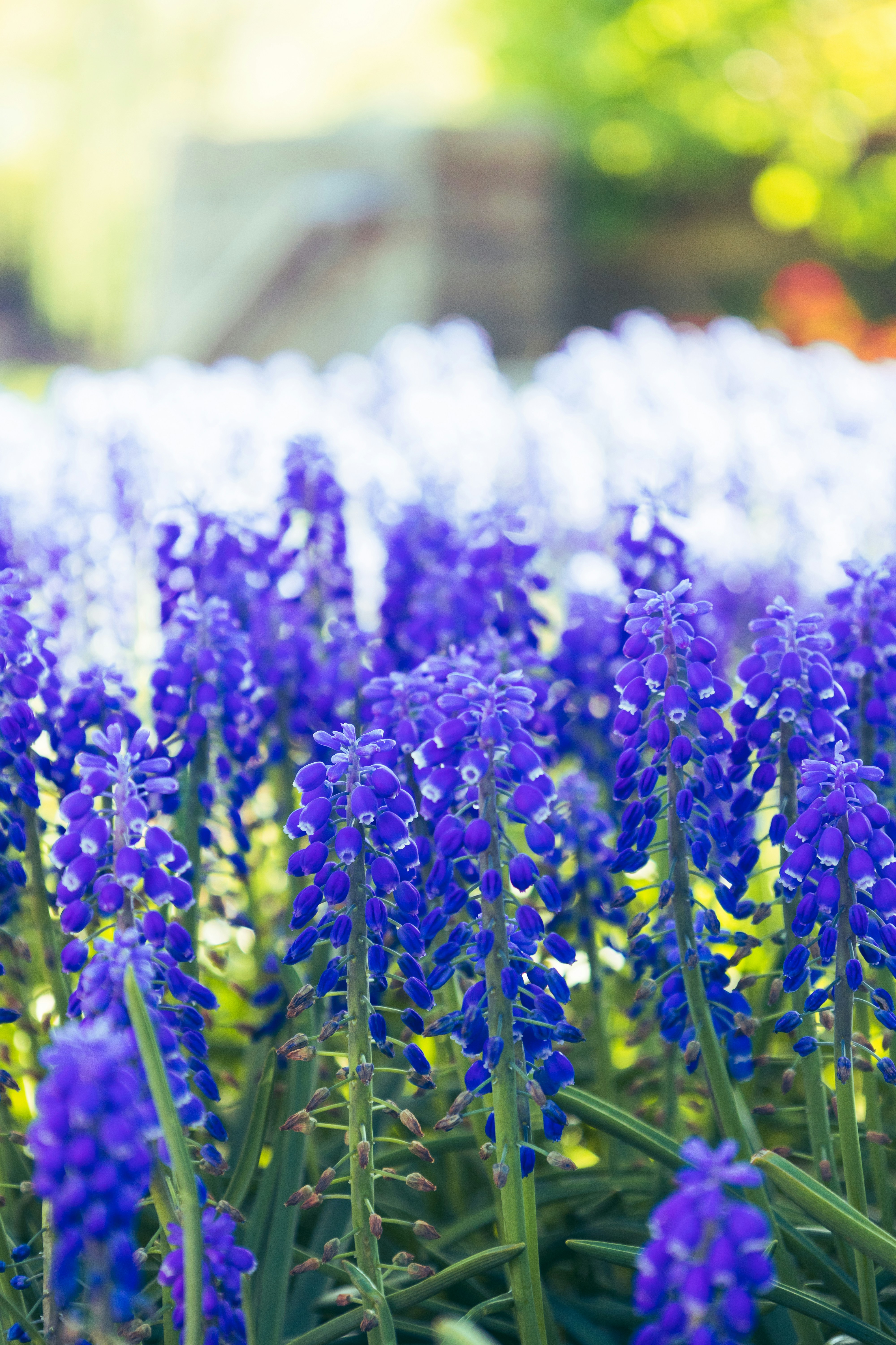 Photo by vincentyuan87