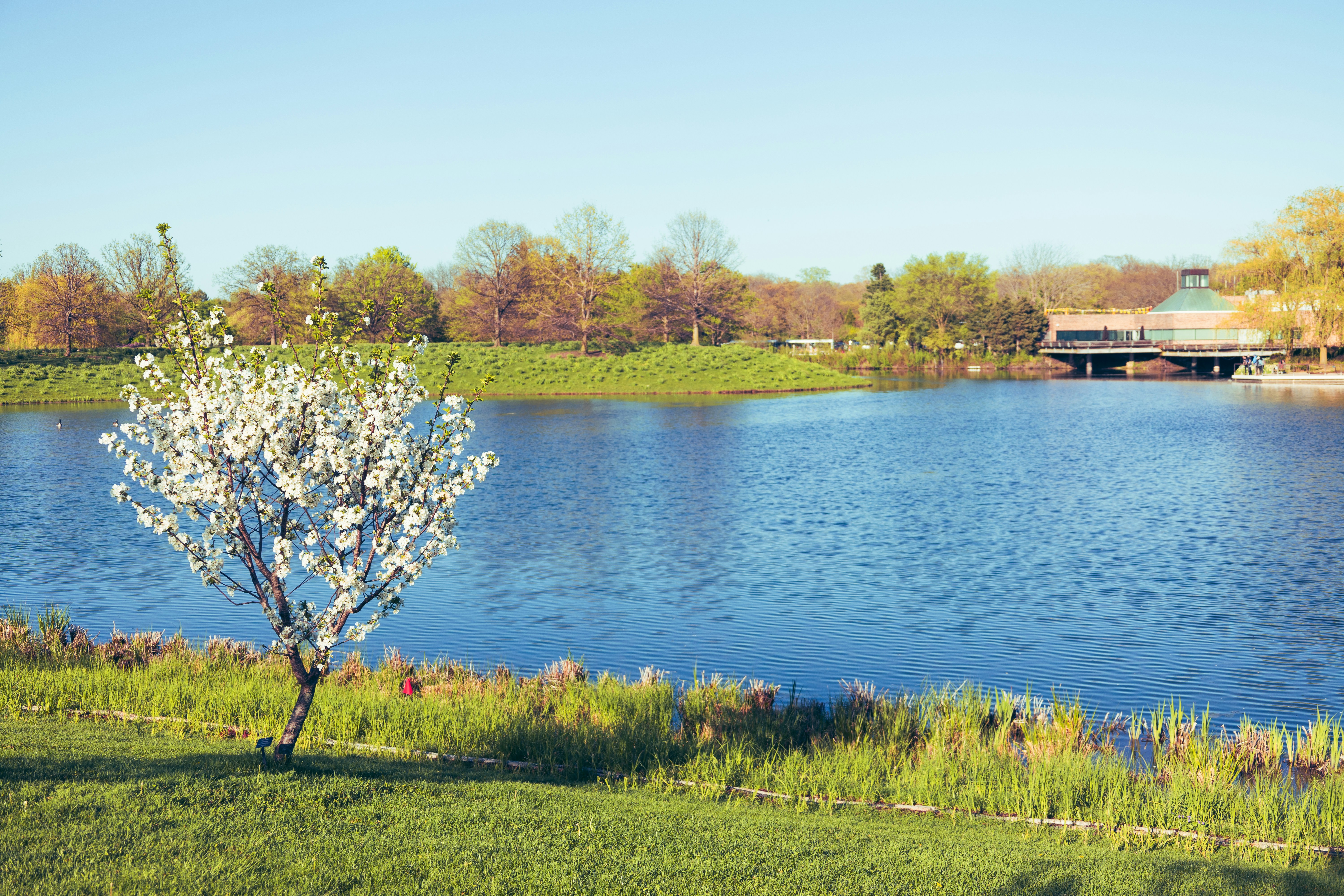 Photo by vincentyuan87