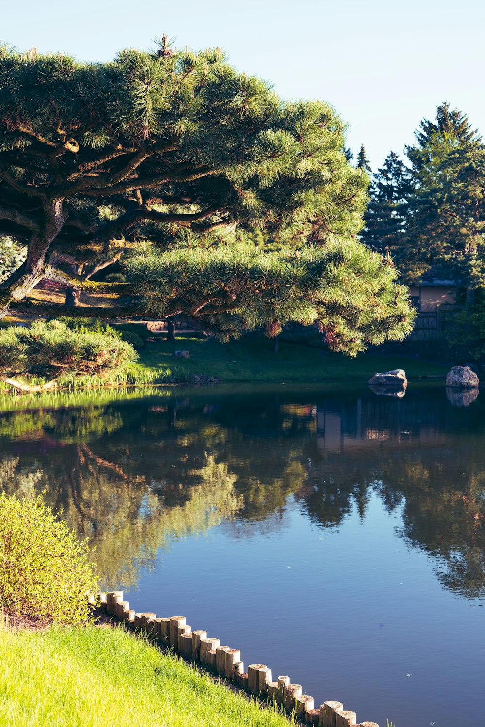 a pond surrounded by trees and grass