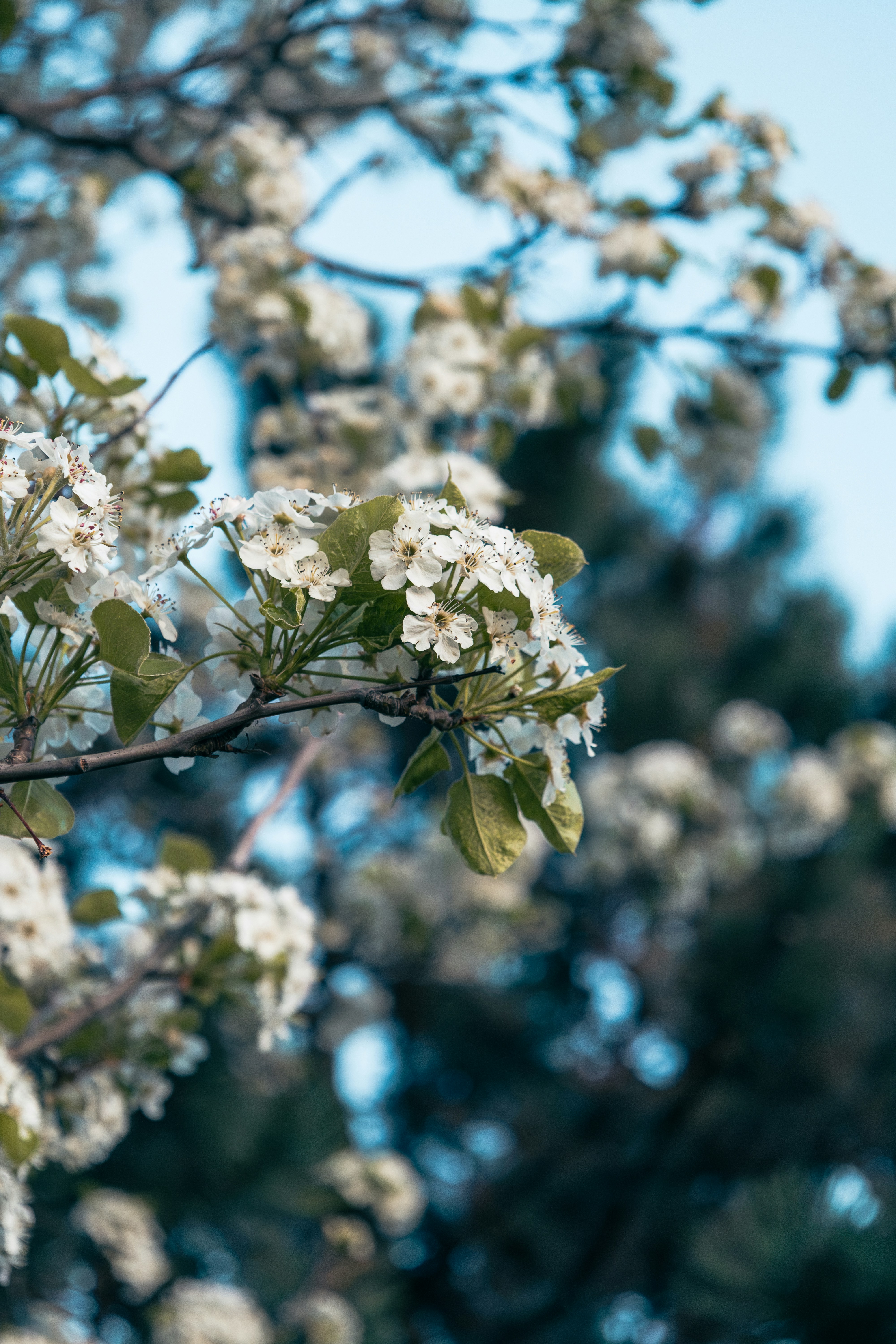 Photo by vincentyuan87