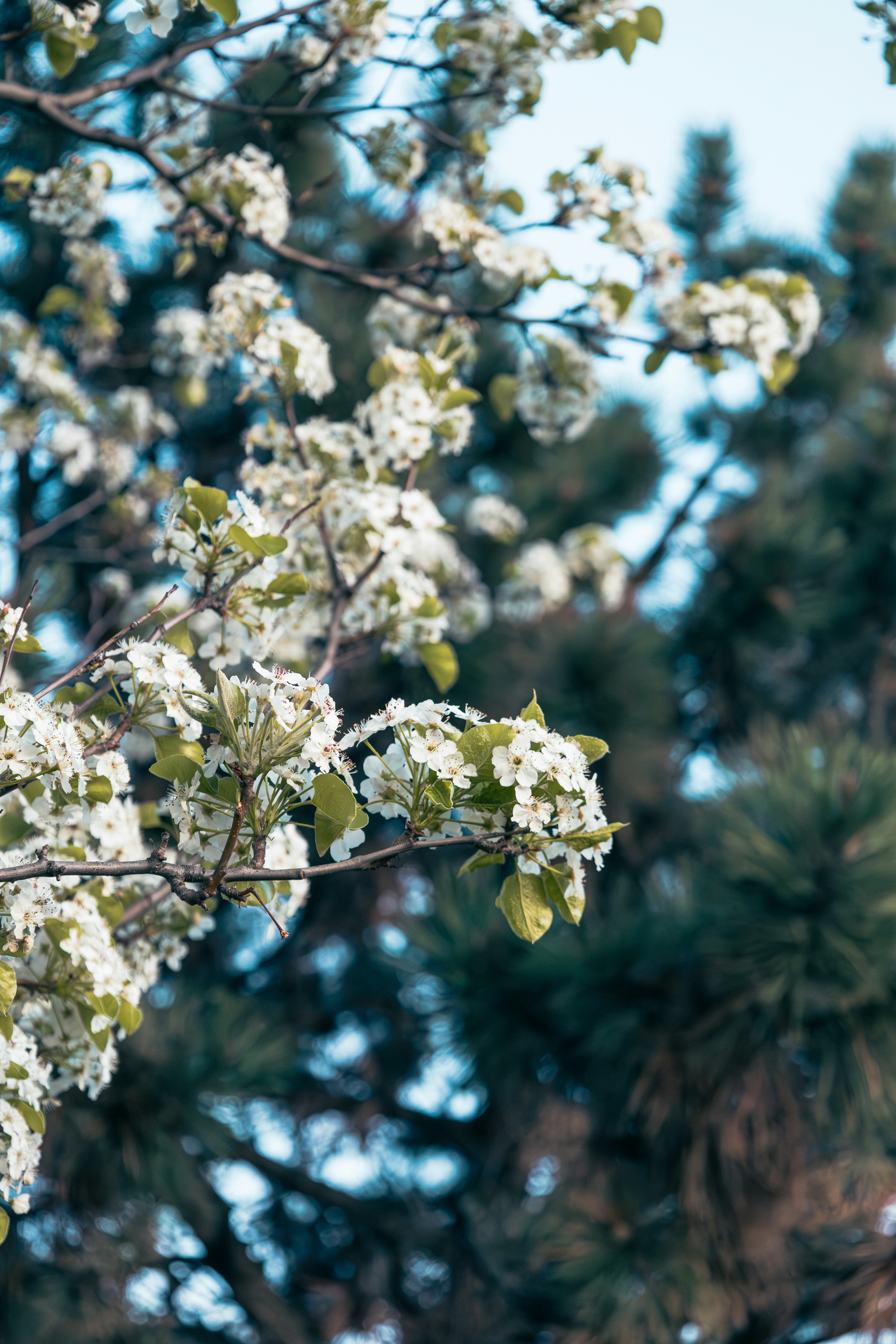 Photo by vincentyuan87