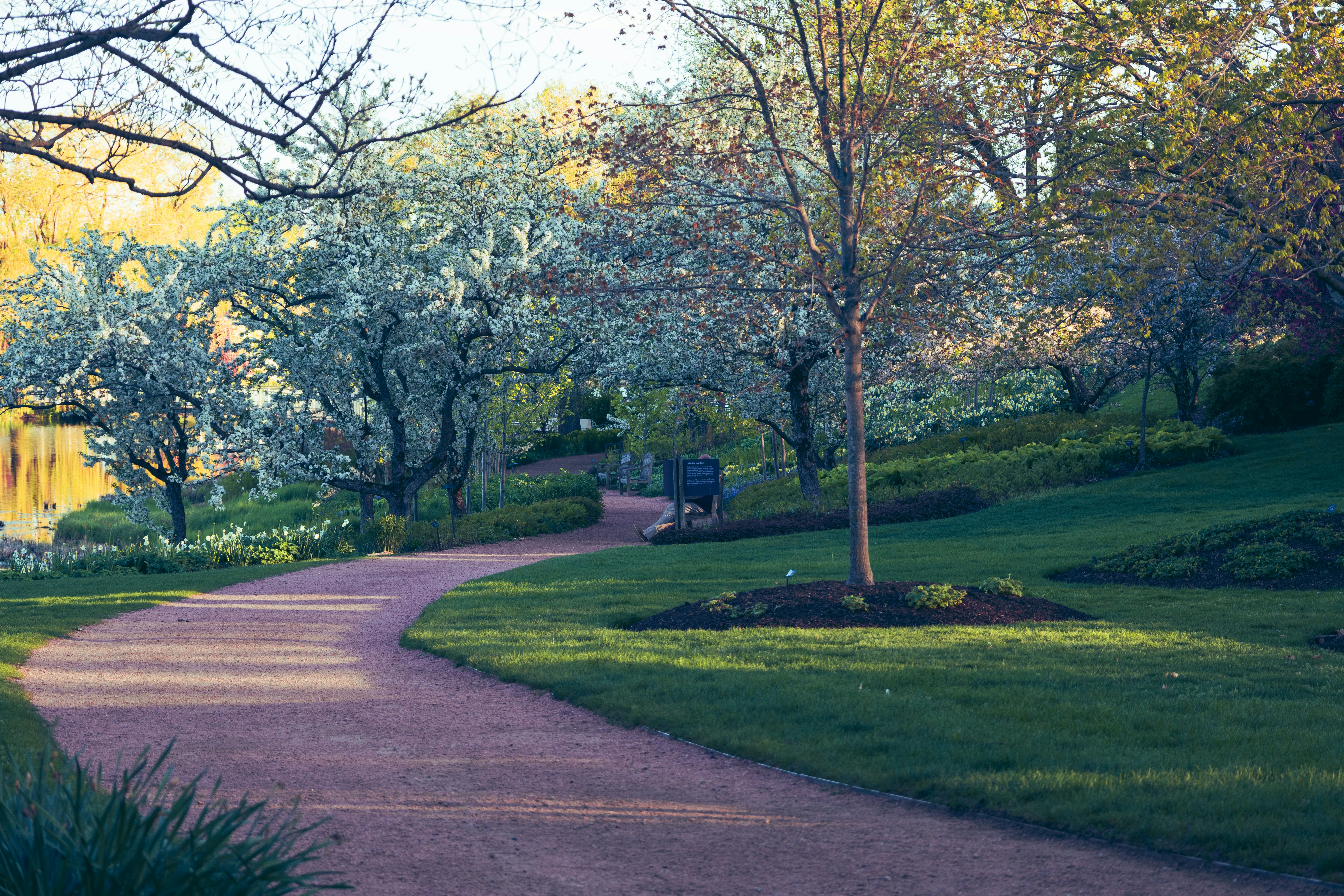 Photo by vincentyuan87