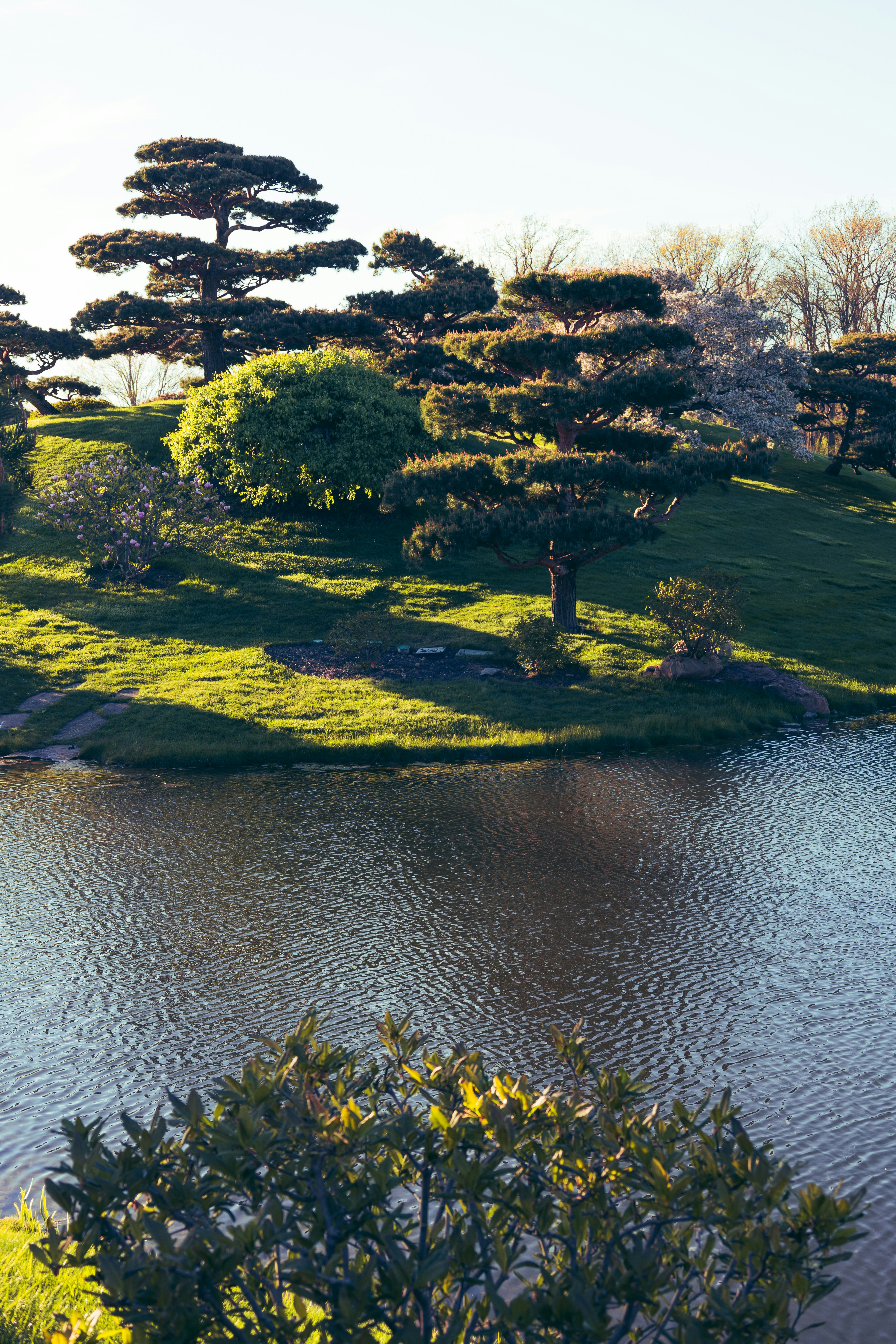 Photo by vincentyuan87