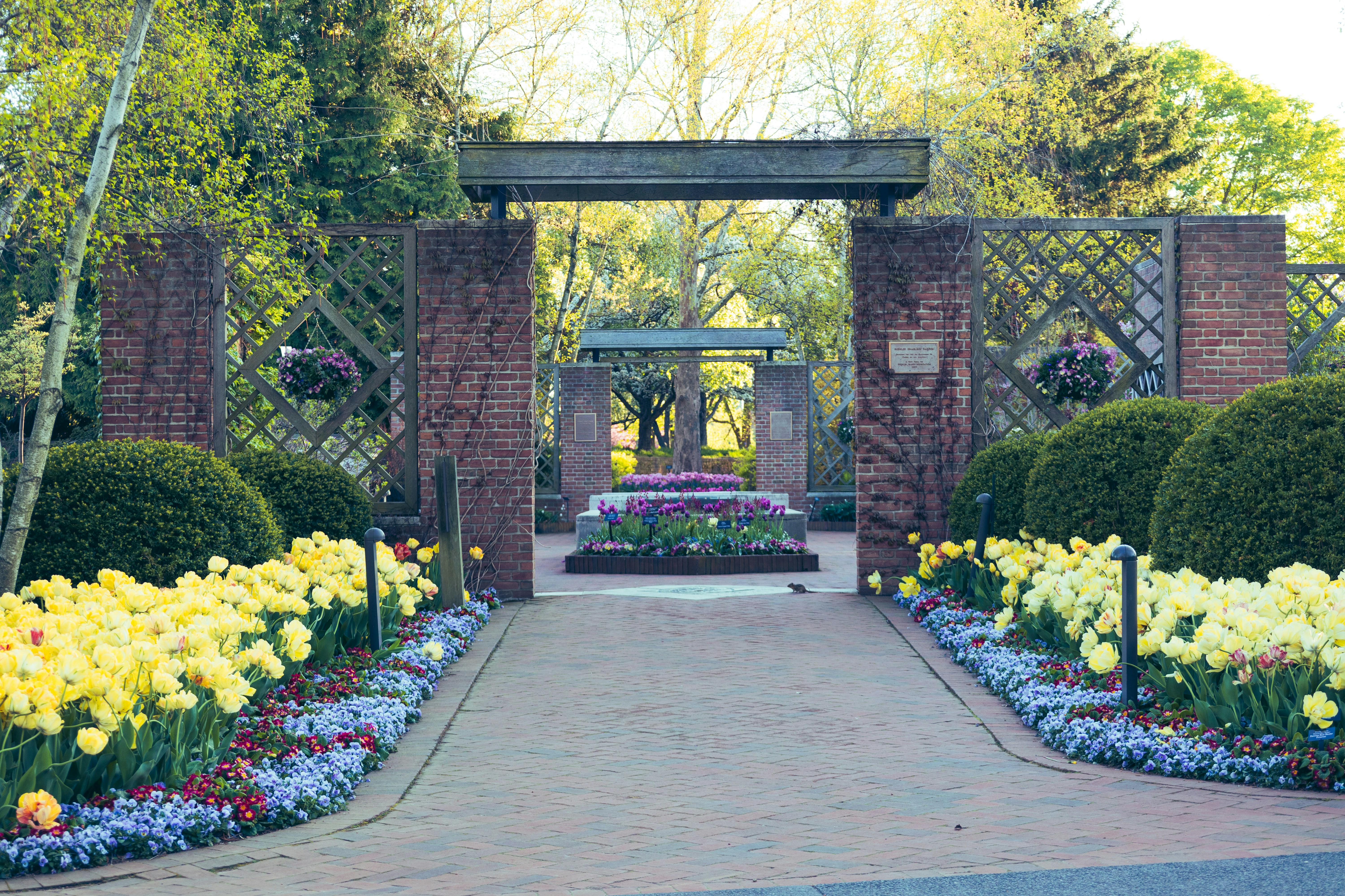 Photo by vincentyuan87