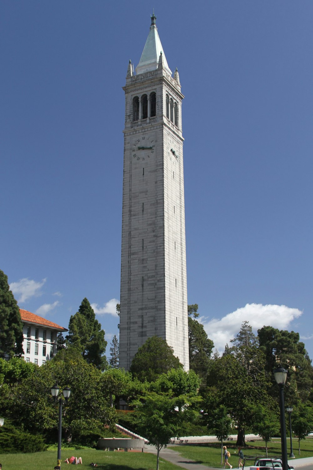 a tall clock tower towering over a lush green park