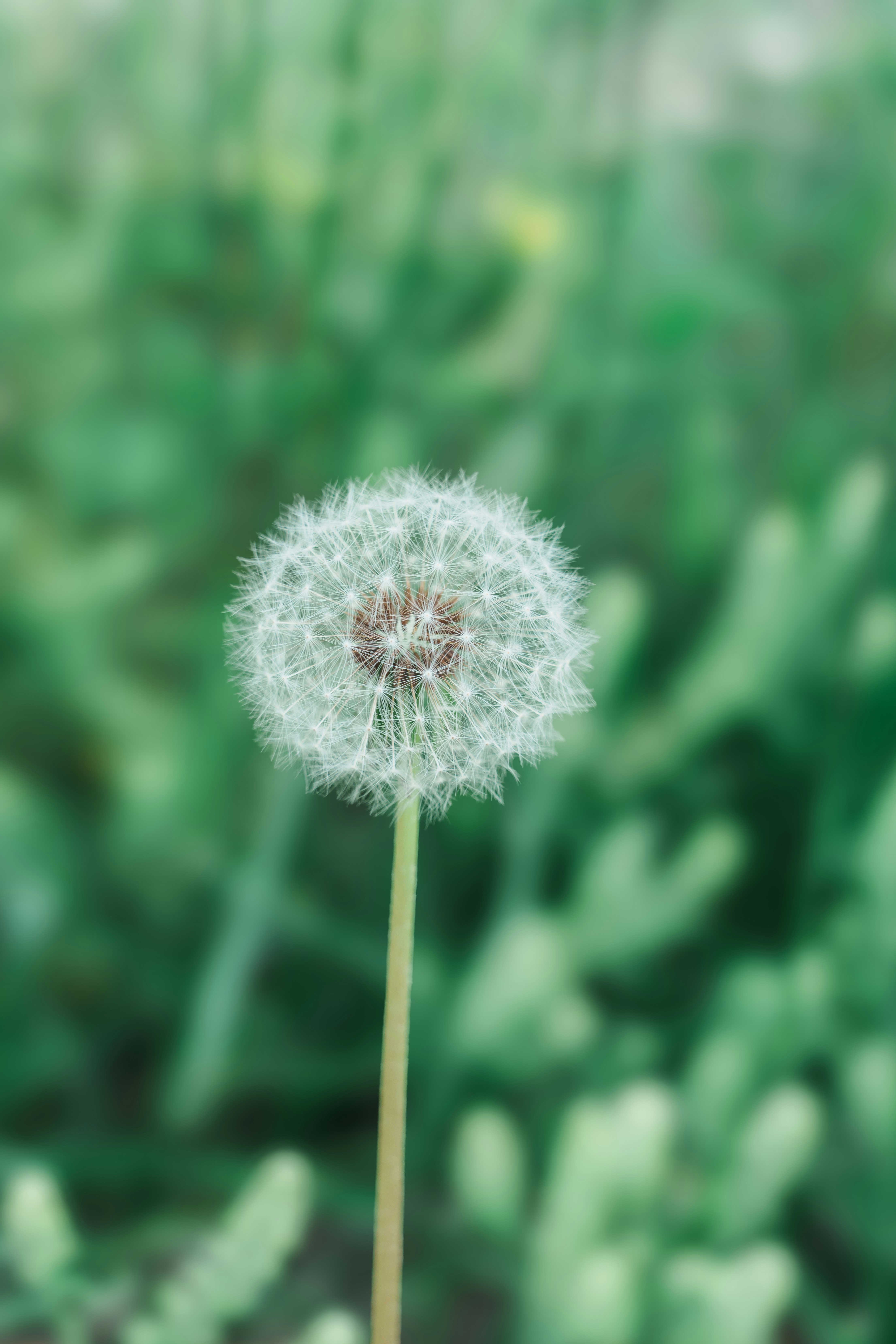 Photo by lizheng_design