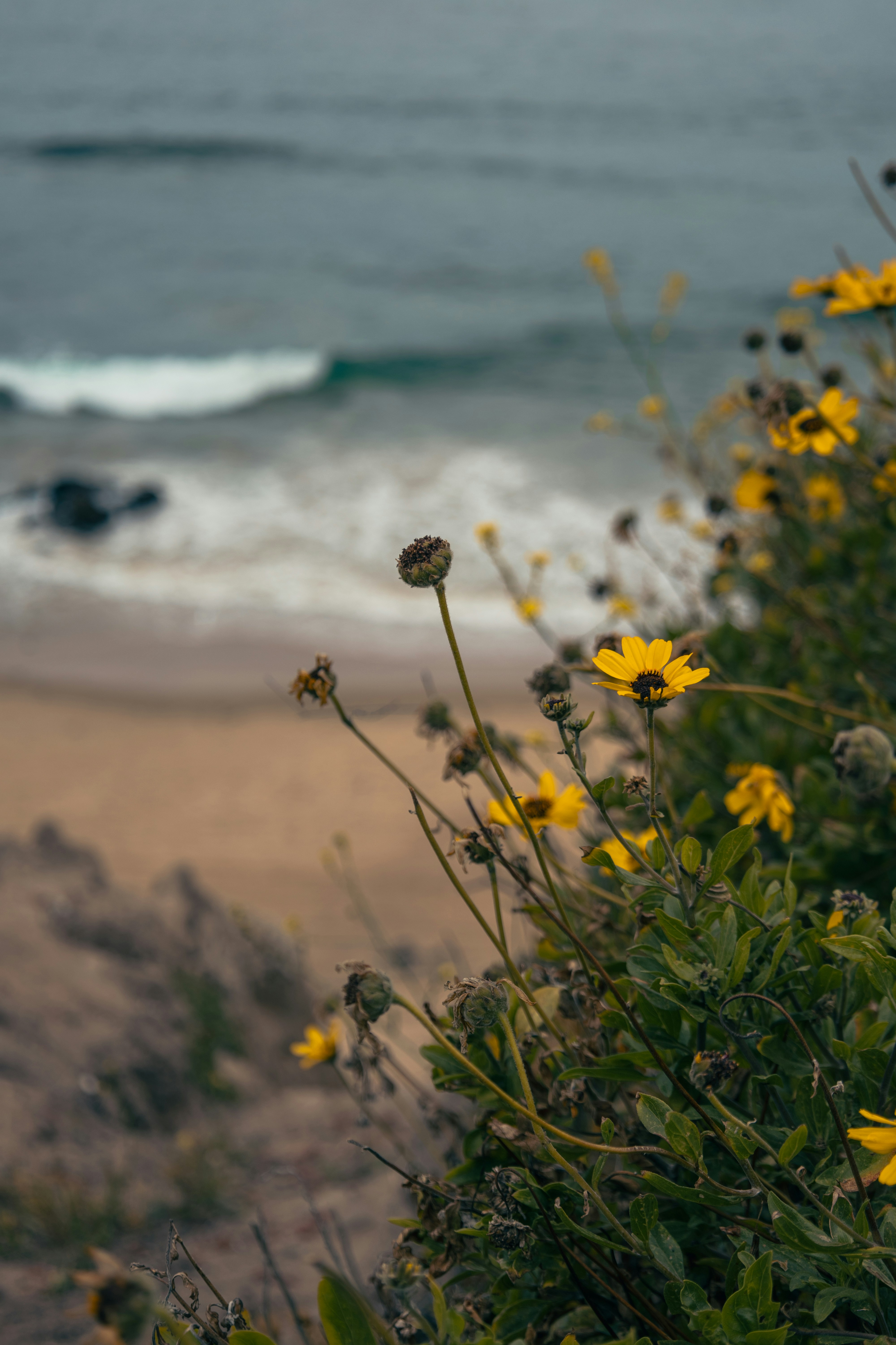 Photo by vincentyuan87