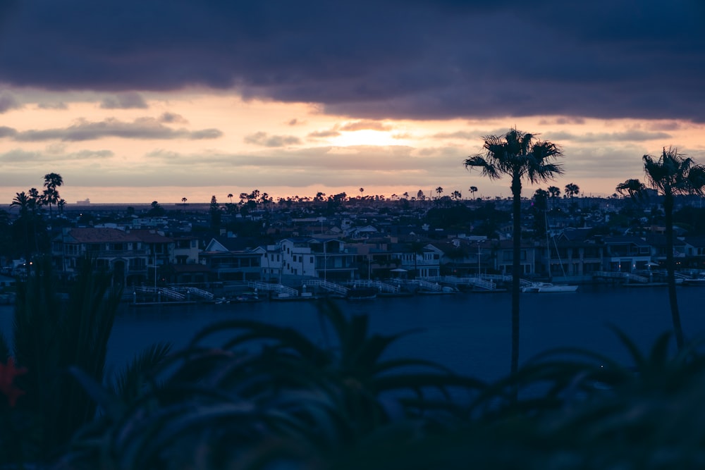 uma vista de uma cidade com palmeiras em primeiro plano