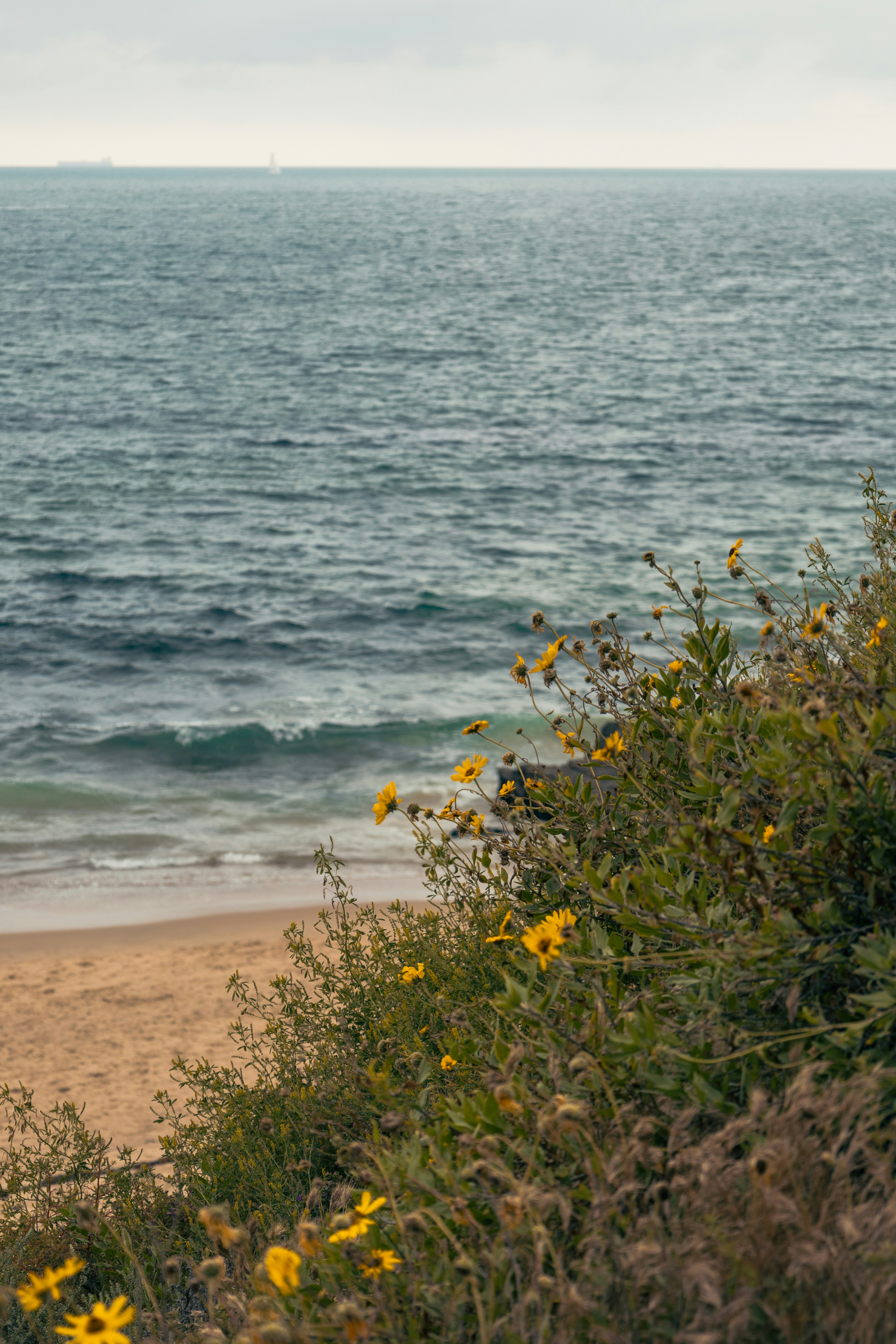 Photo by vincentyuan87