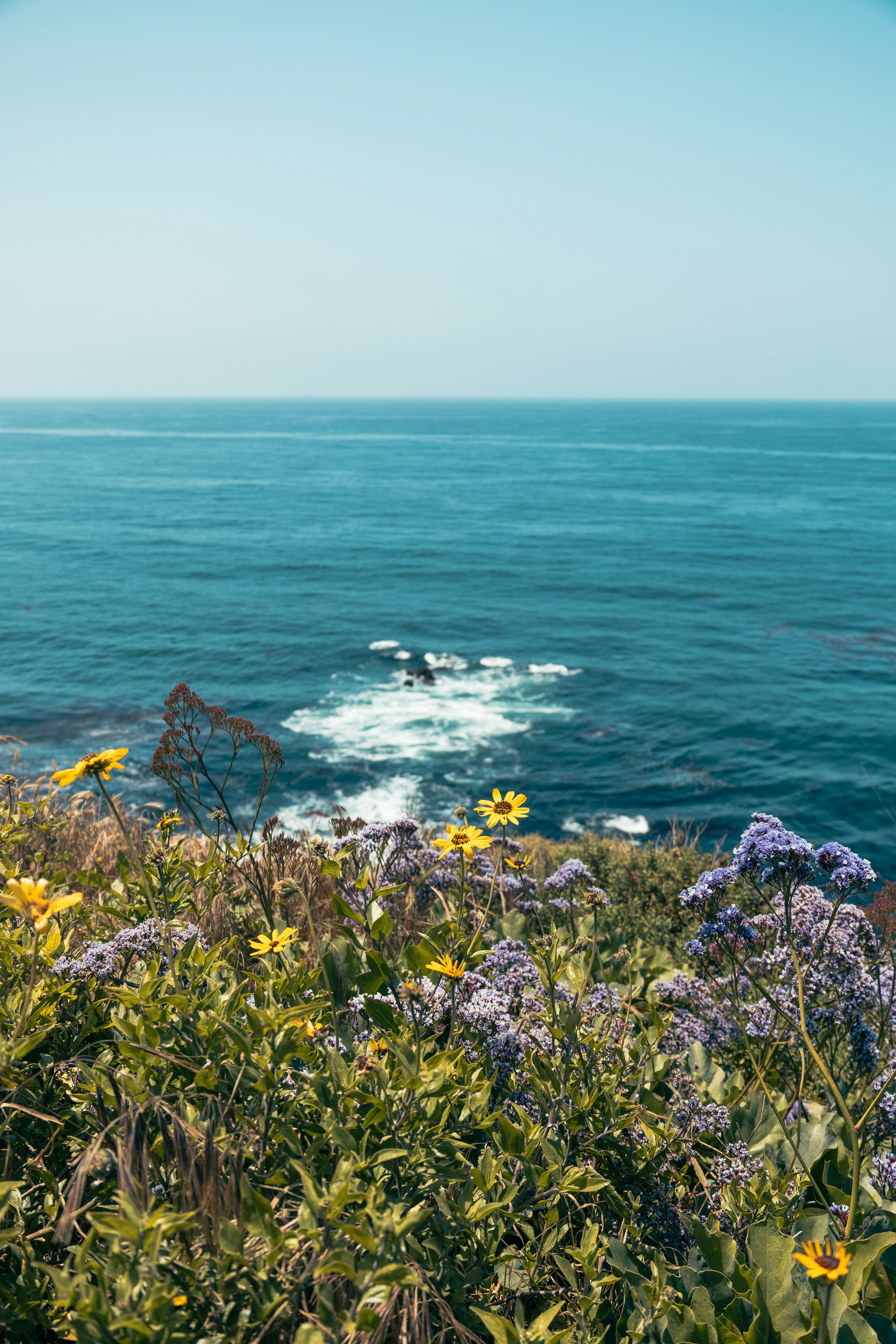 Photo by vincentyuan87