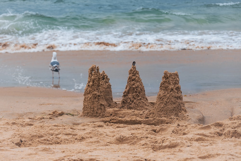 a sand castle on the beach with a seagull in the background