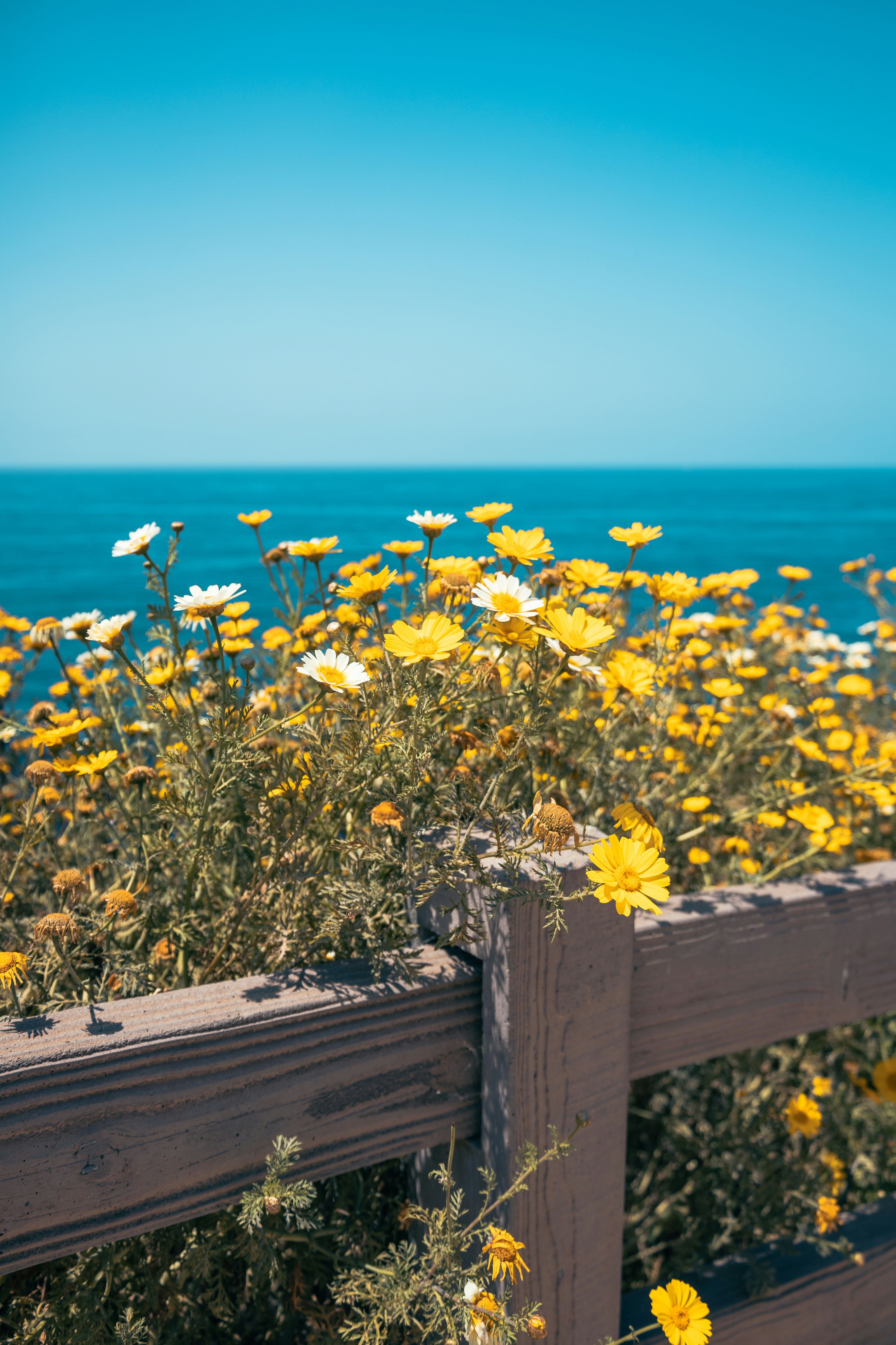 Photo by vincentyuan87