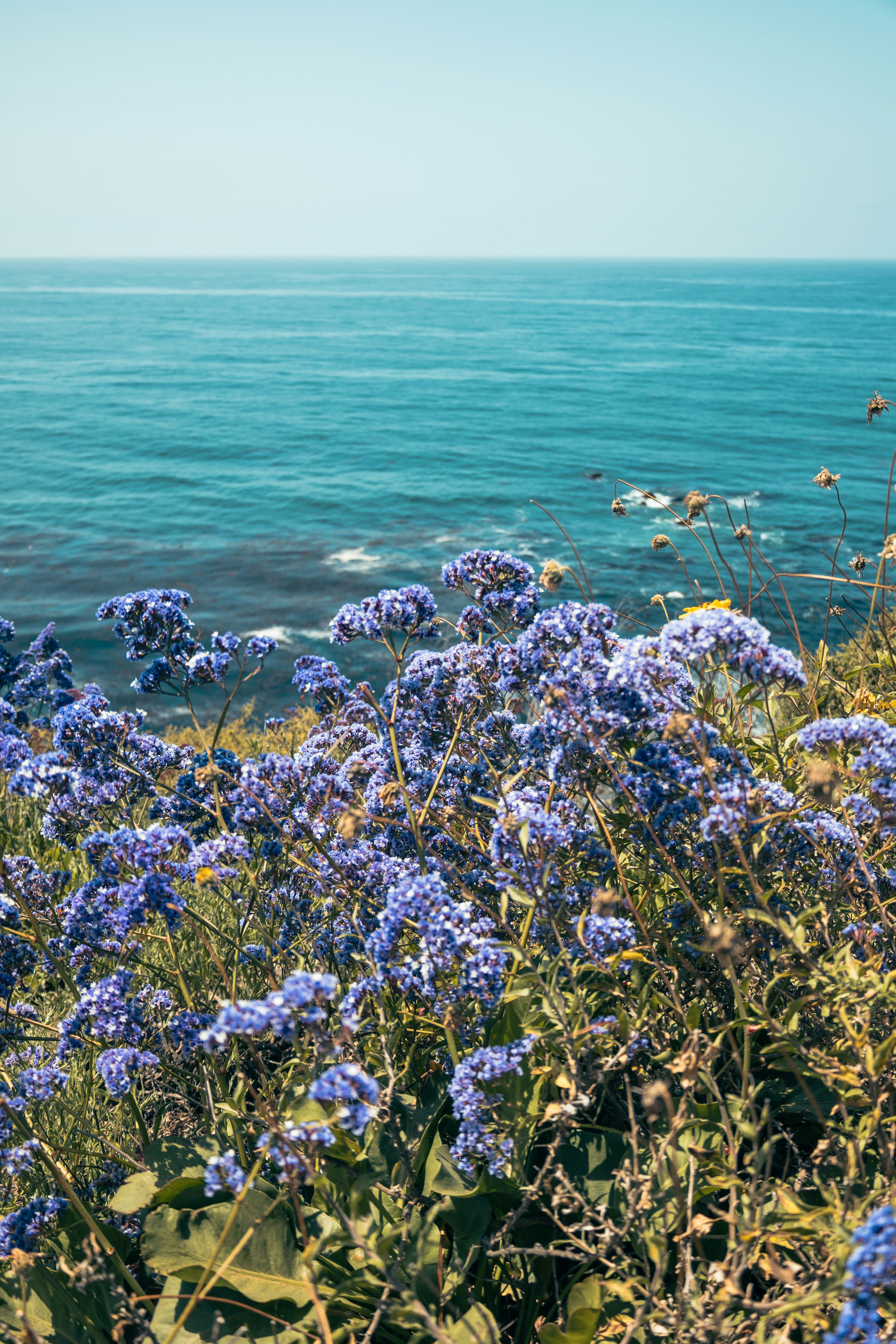 Photo by vincentyuan87