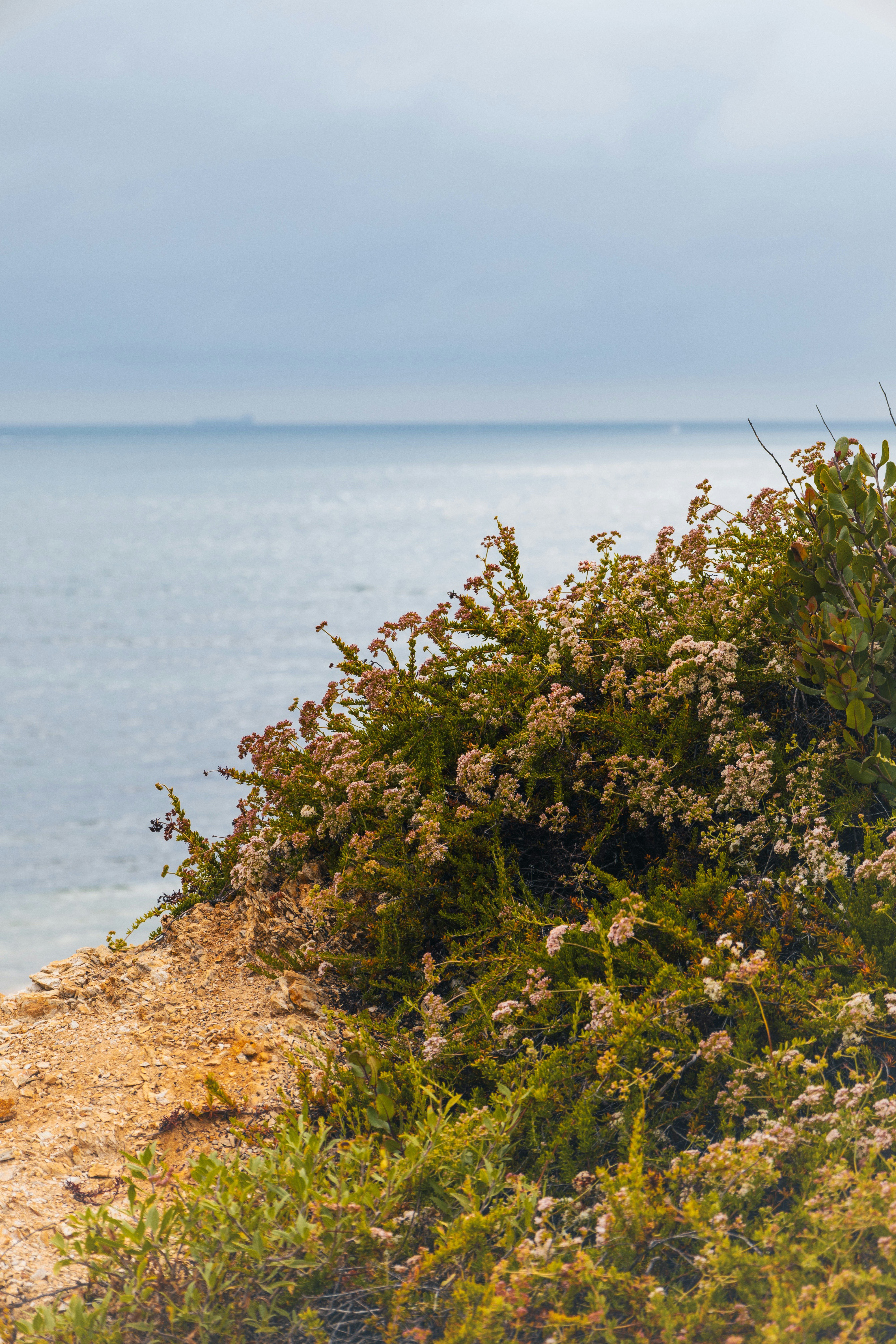 Photo by vincentyuan87