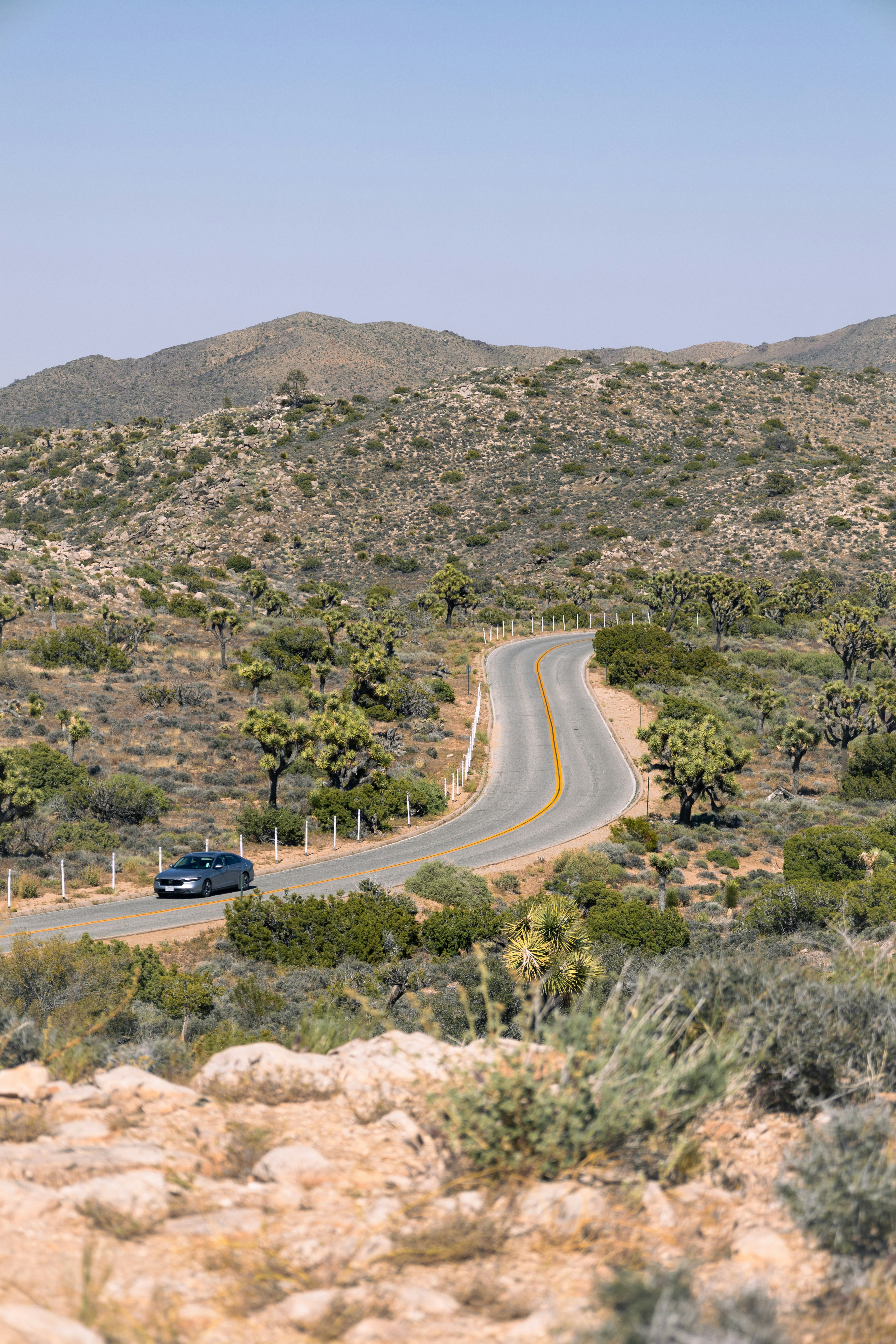 Photo by vincentyuan87