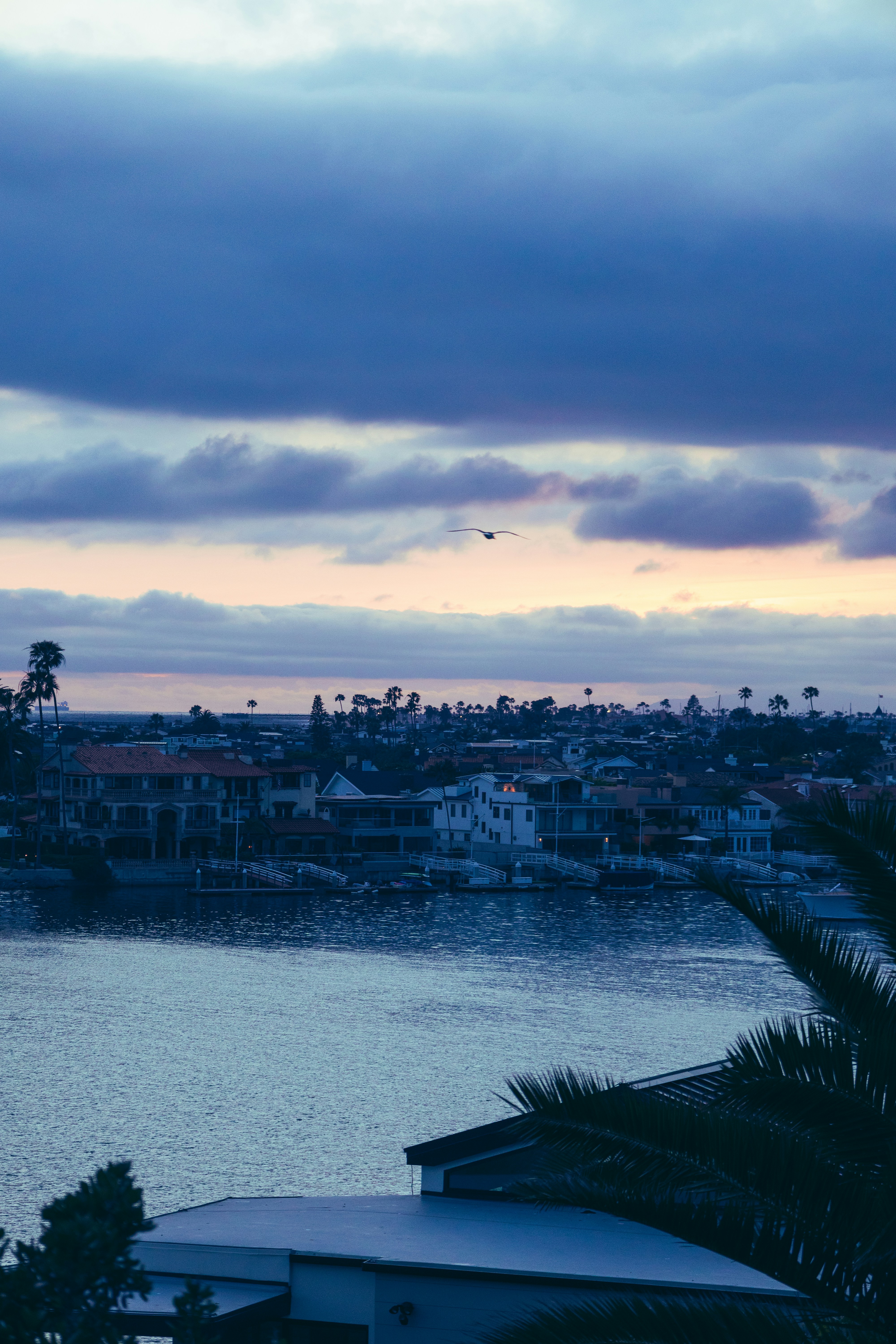 Photo by vincentyuan87